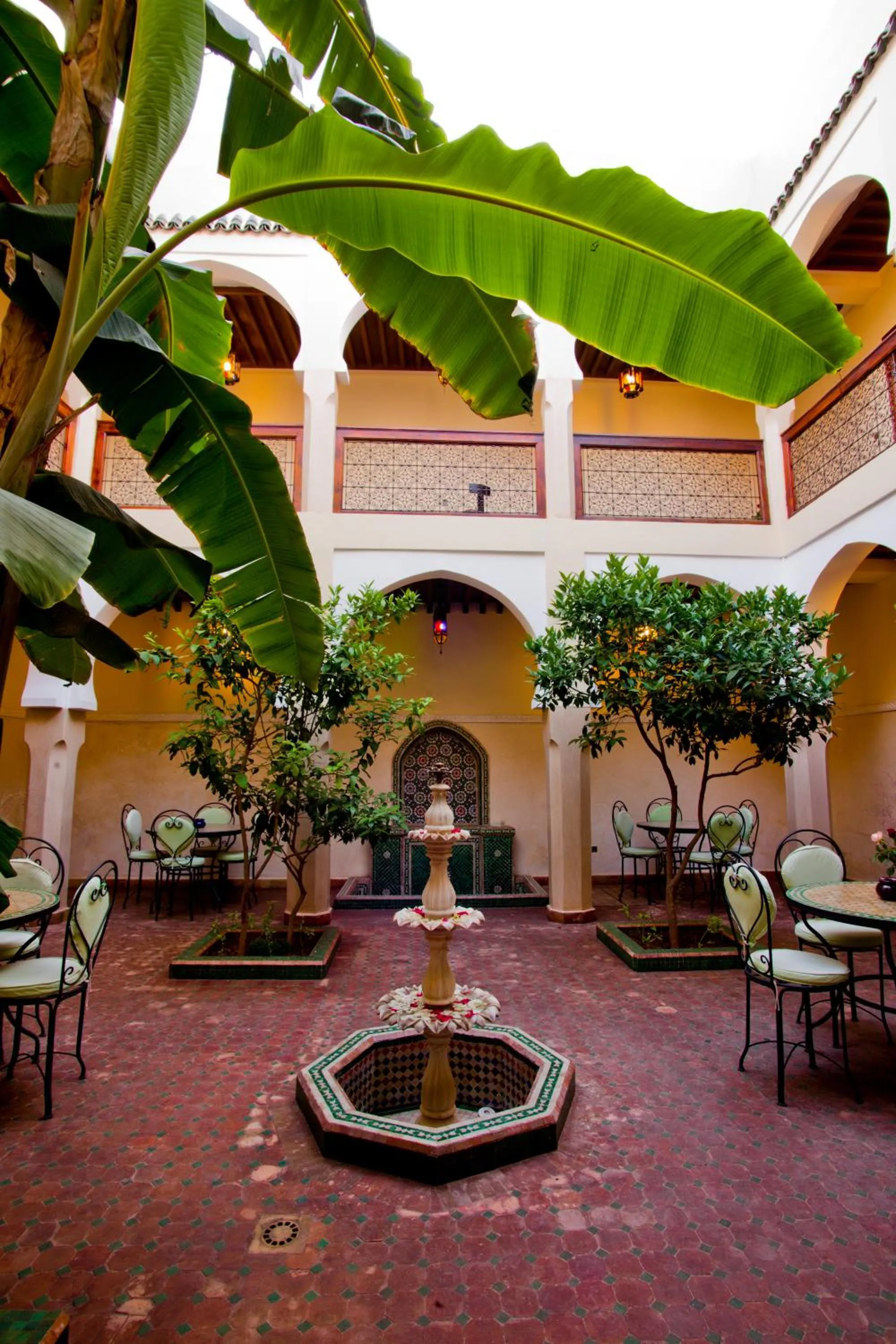 Garden view in Riad Tidar by Phoenix