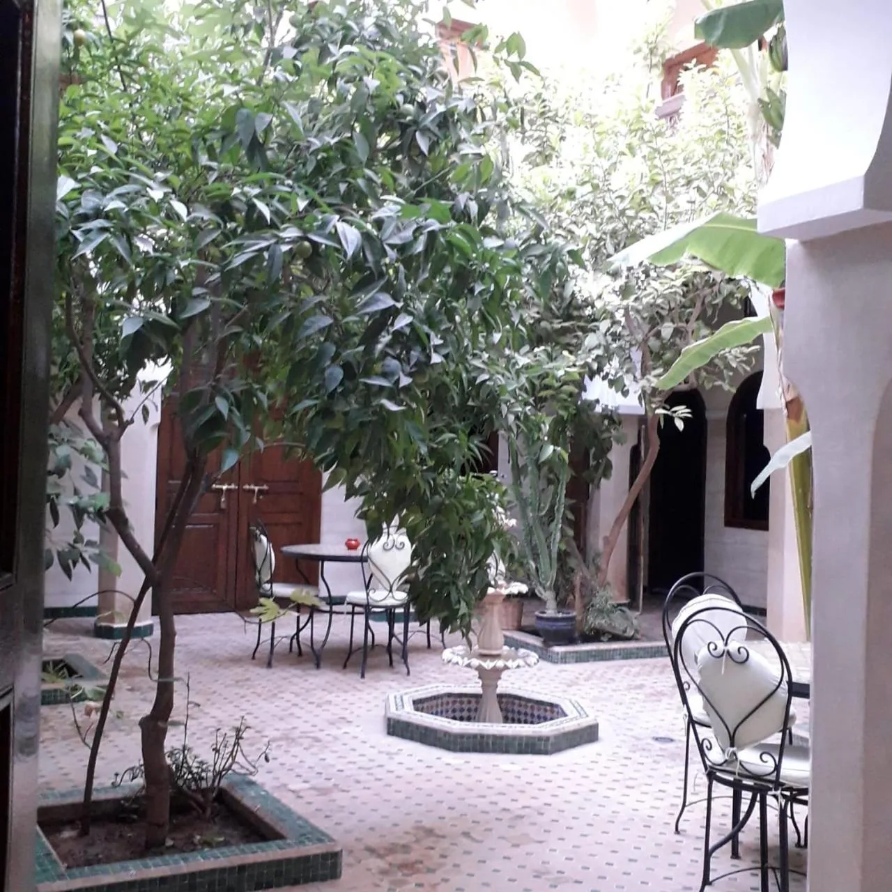 Riad Tidar by Phoenix