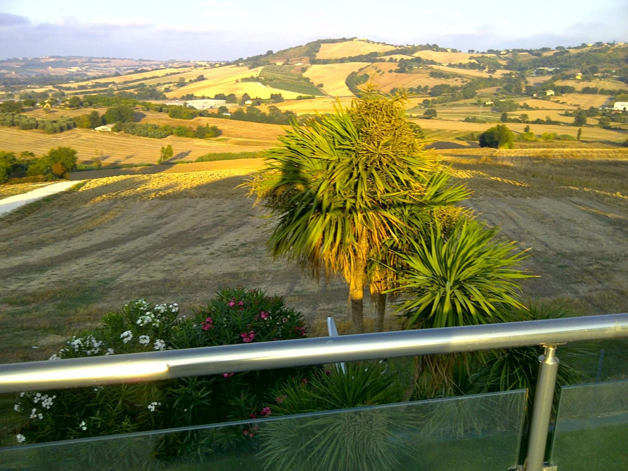Balcony/Terrace in Villa Belvedere Degli Ulivi
