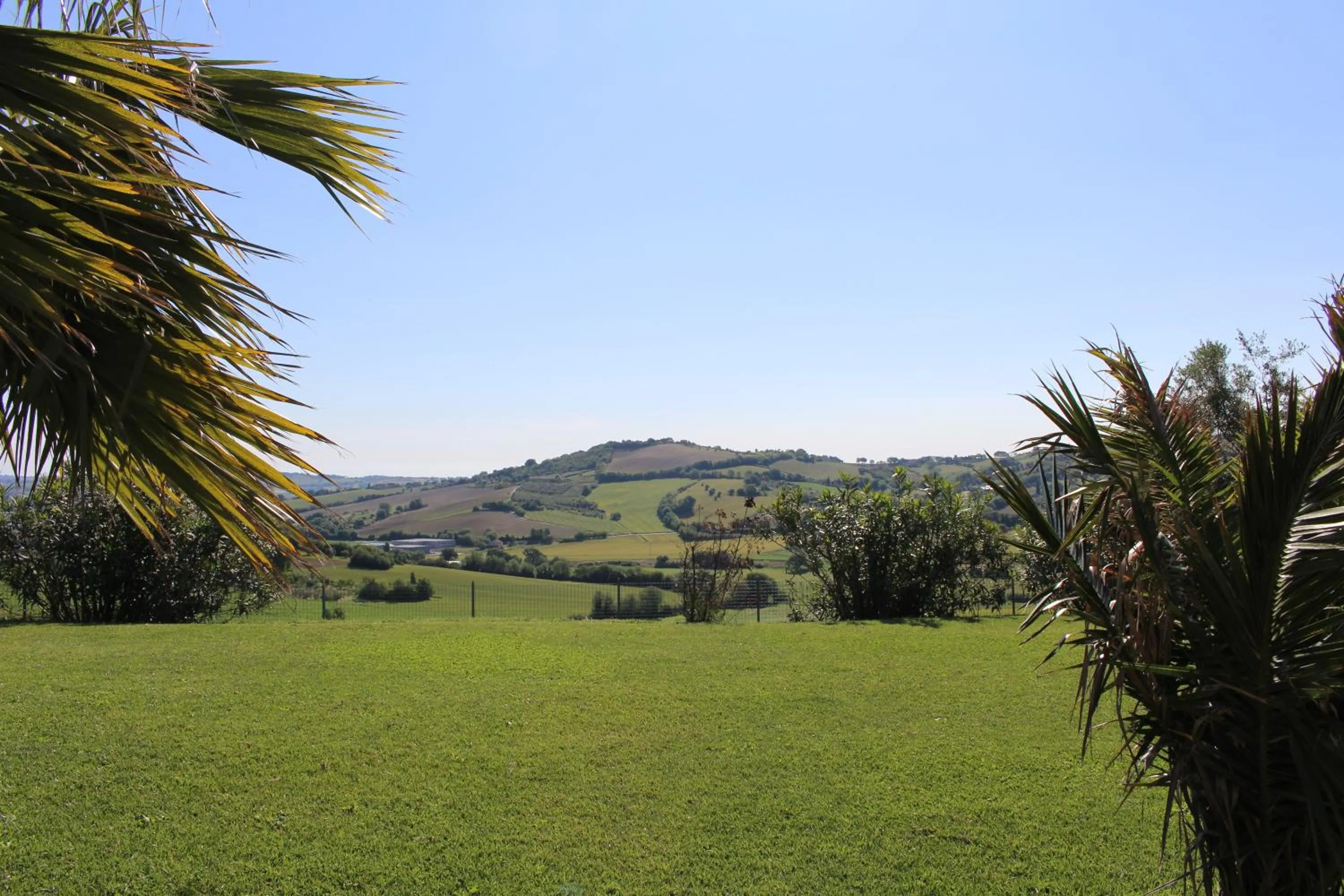 Natural landscape in Villa Belvedere Degli Ulivi