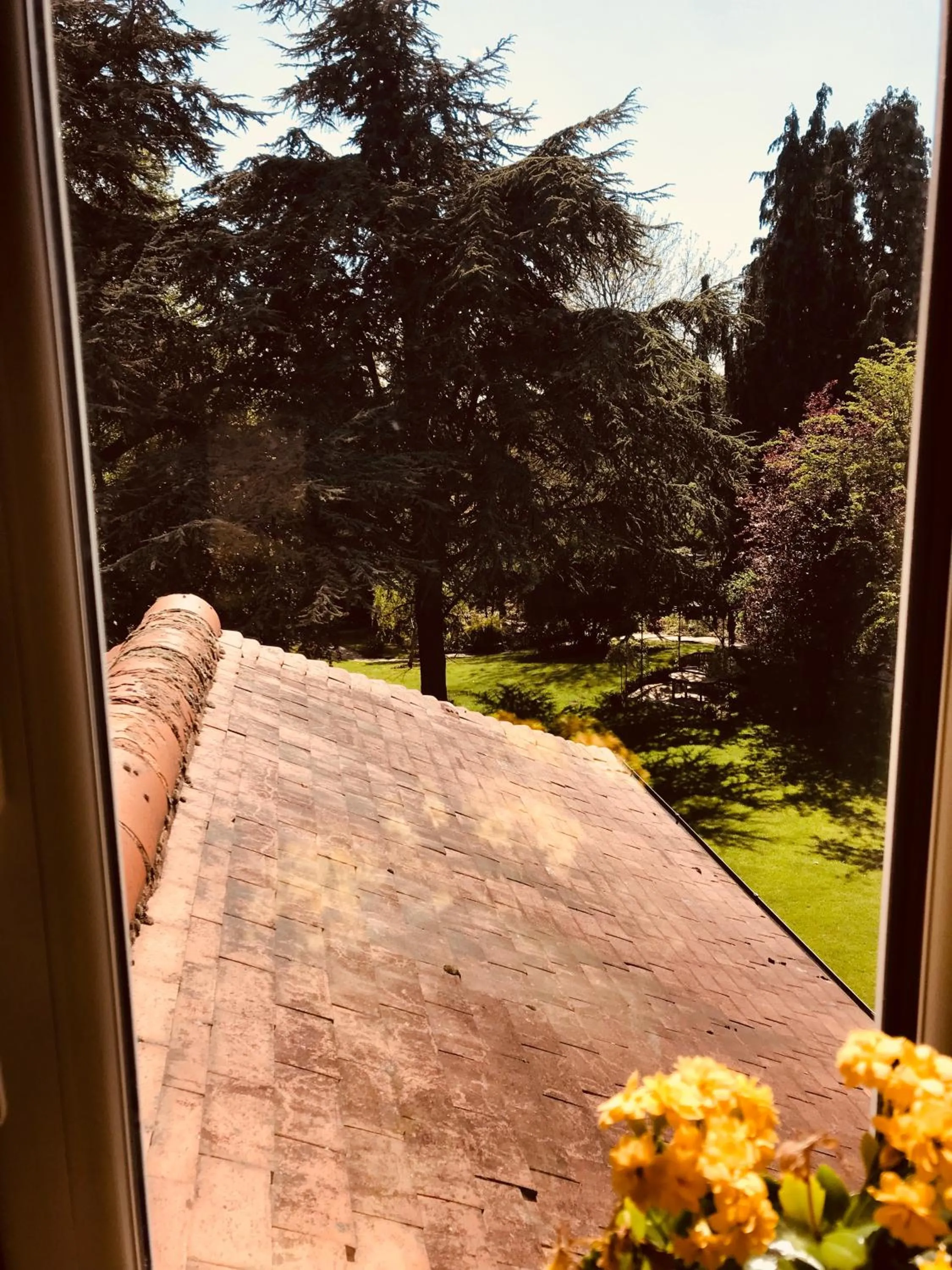 Deluxe King Room - single occupancy in Tresillian House