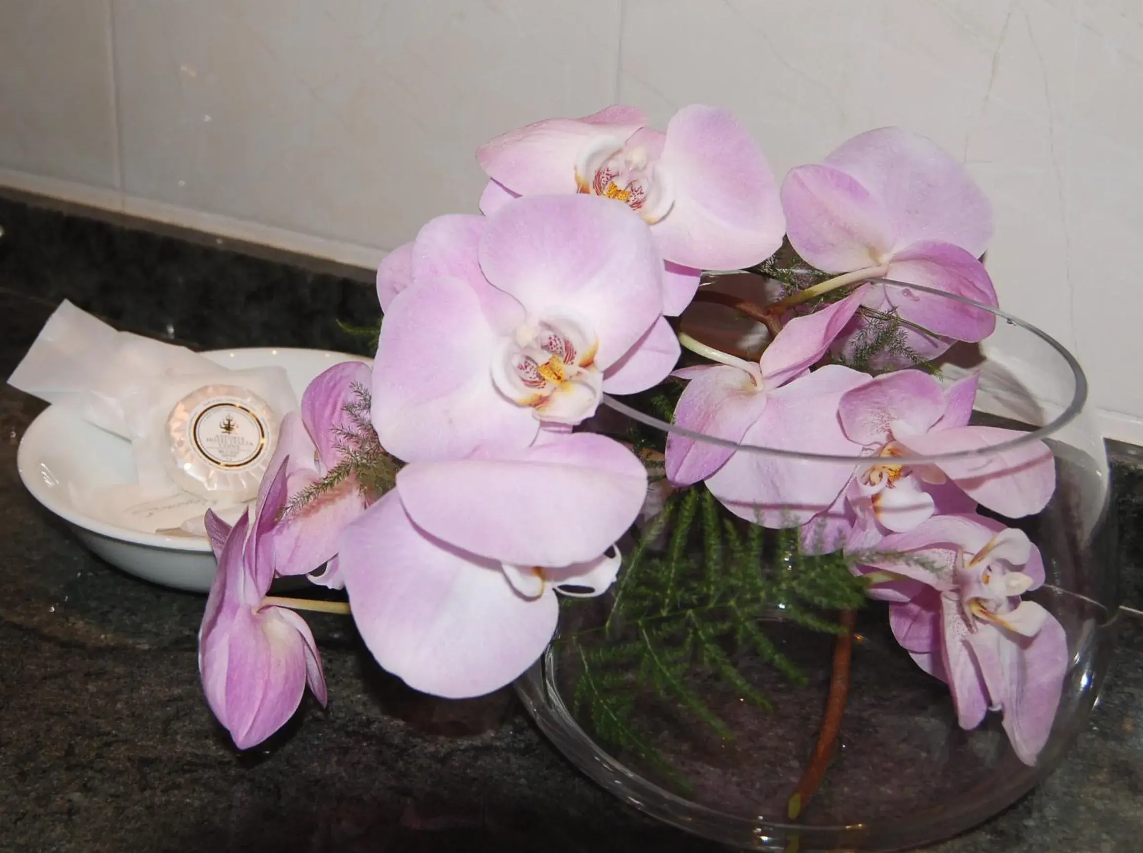 Superior Single Room in Astoria Hotel Italia Superior Single Room in Astoria Hotel Italia