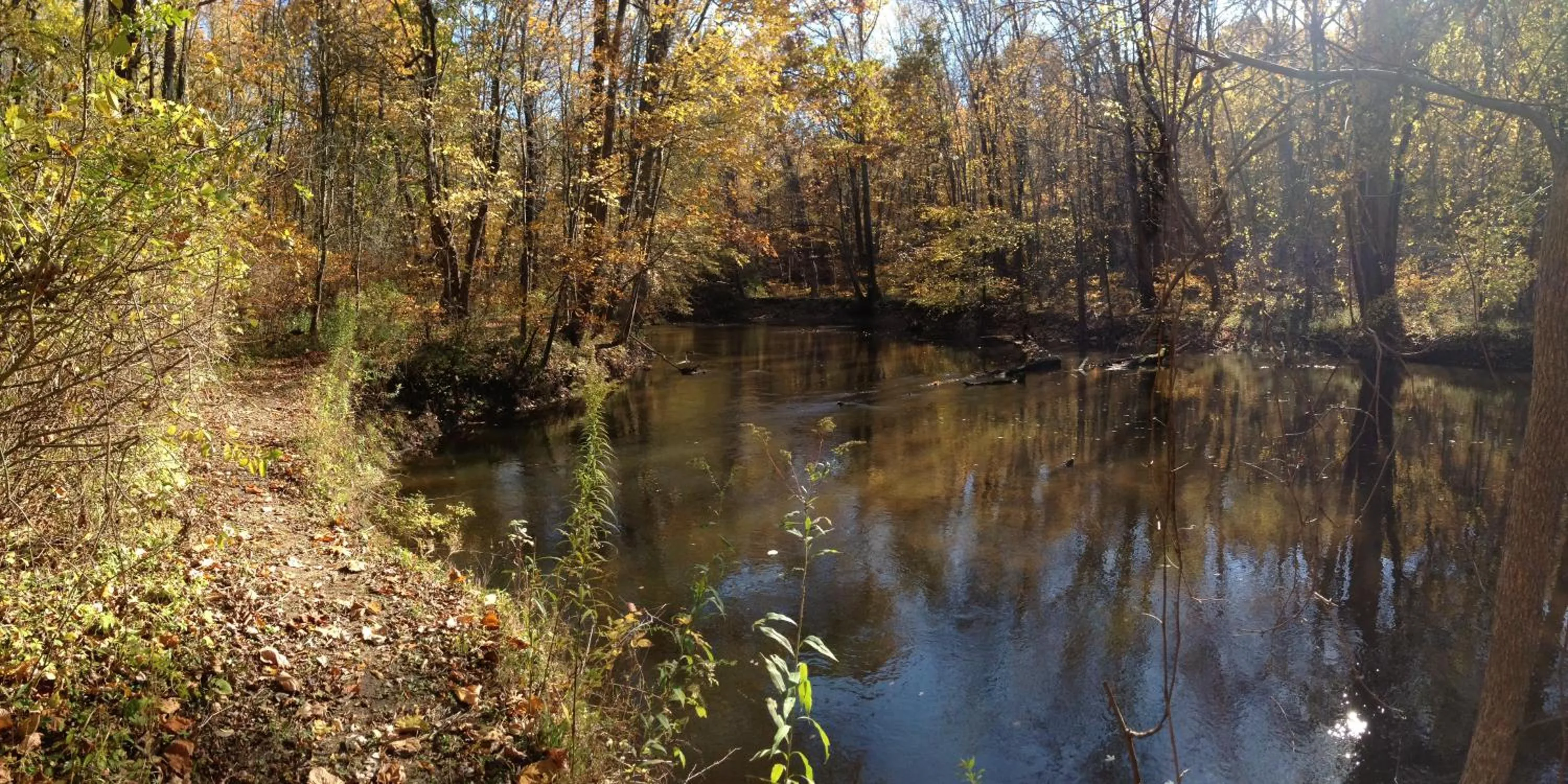 Goldberry Woods- A Modern Farm Resort