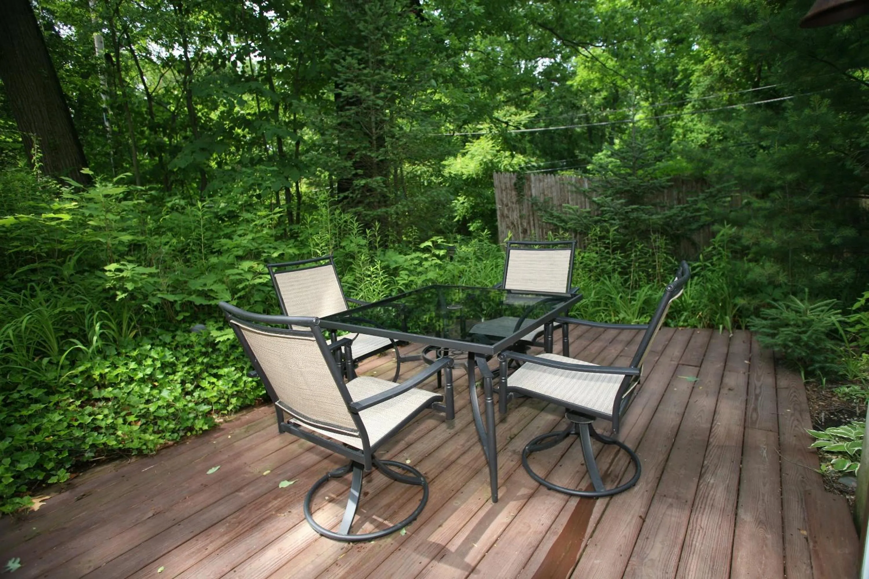 Goldberry Woods- A Modern Farm Resort