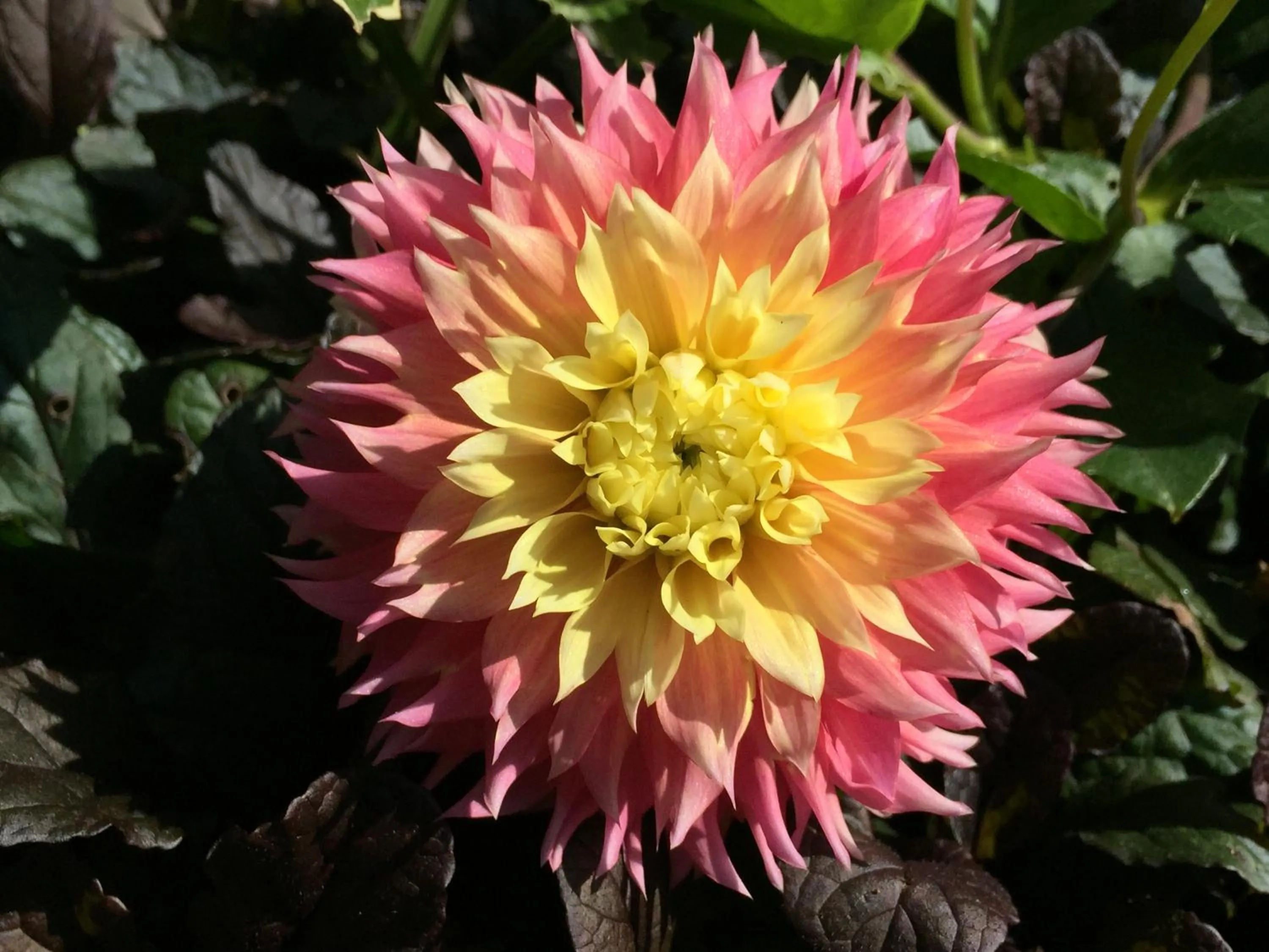 Goldberry Woods- A Modern Farm Resort