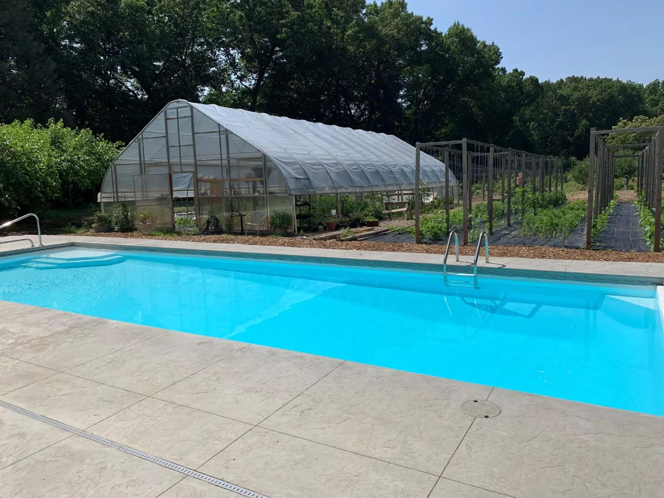 Swimming pool in Goldberry Woods- A Modern Farm Resort