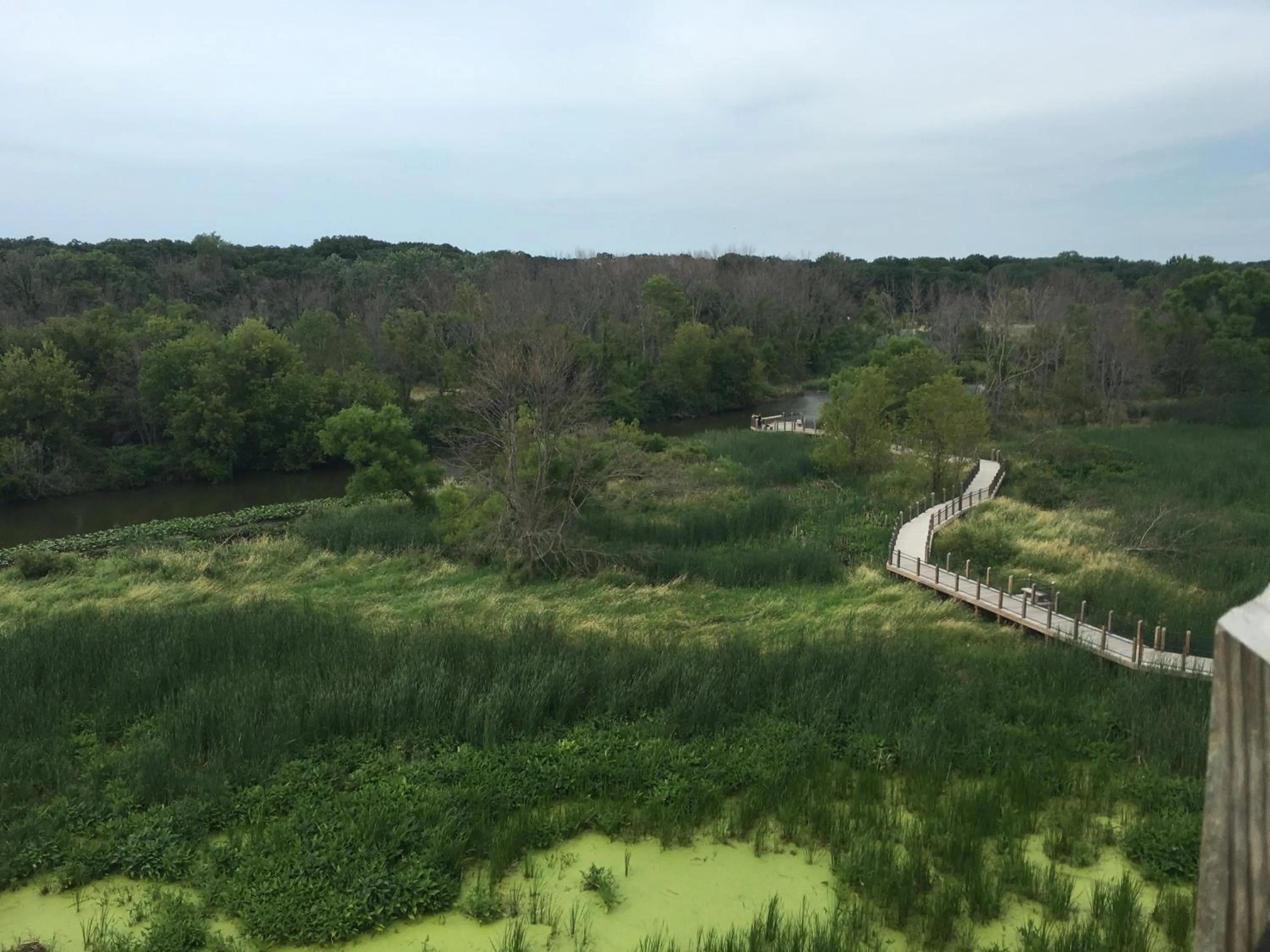 Goldberry Woods- A Modern Farm Resort