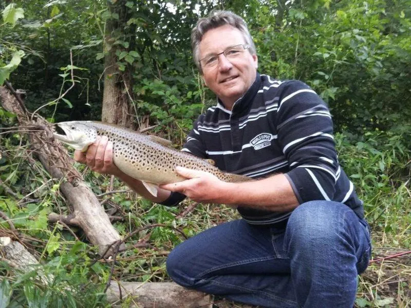 Goldberry Woods- A Modern Farm Resort