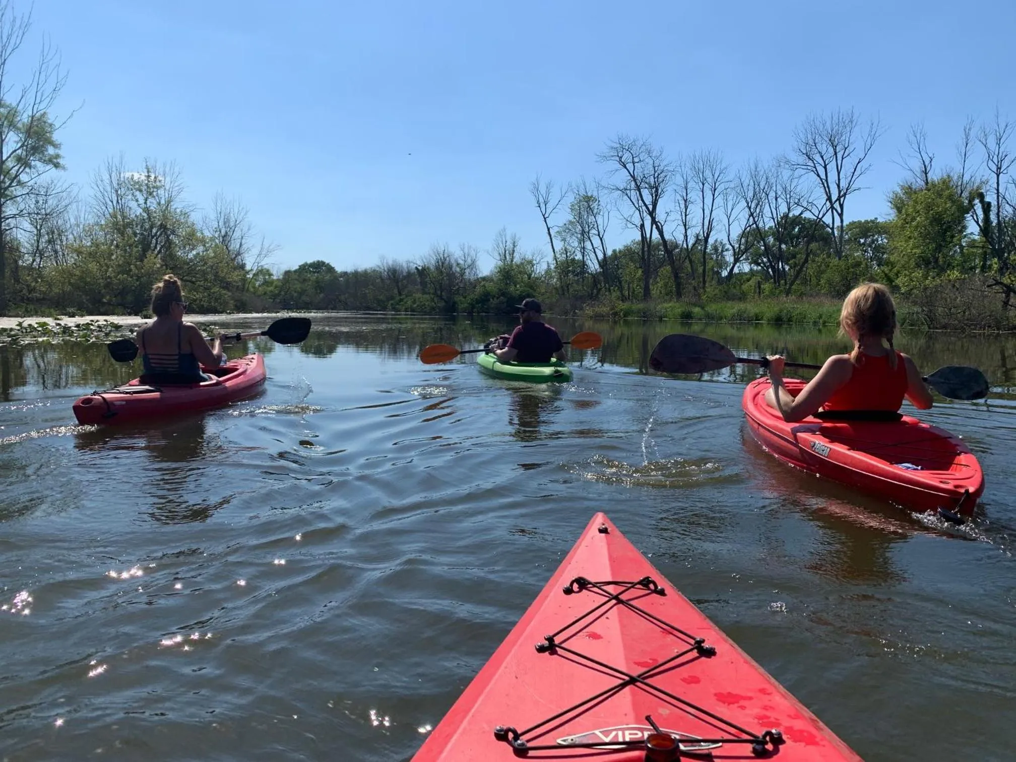 Goldberry Woods- A Modern Farm Resort