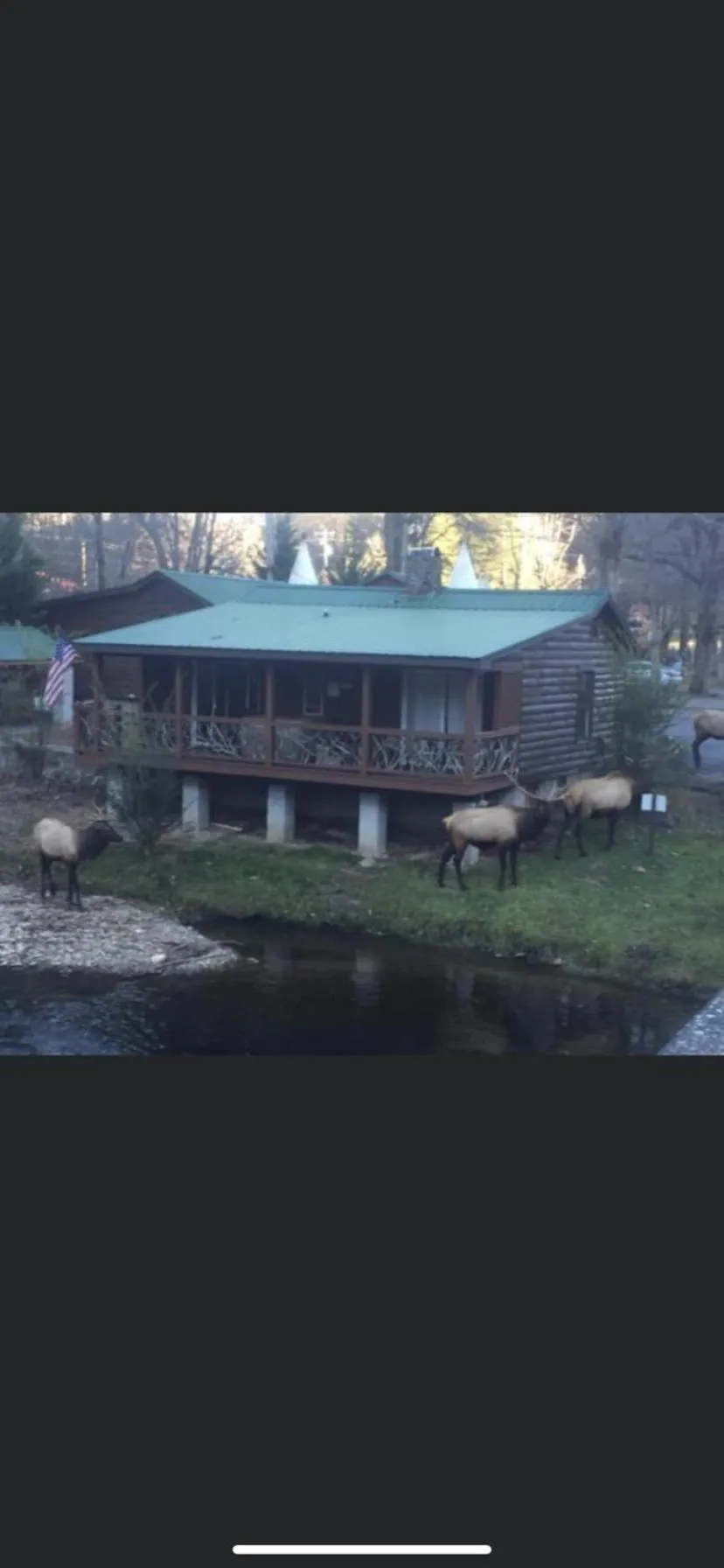 Qualla Cabins and Motel Cherokee near Casino