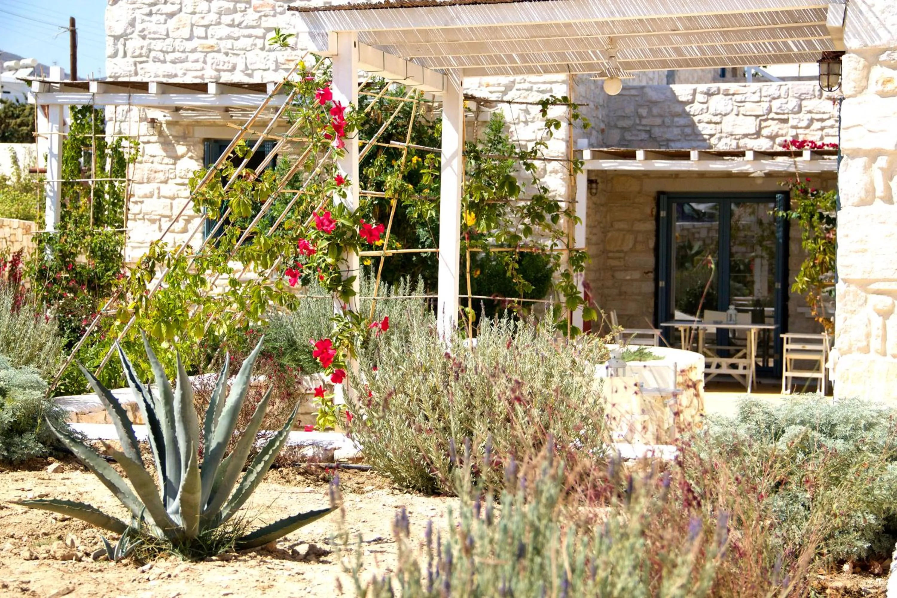 Garden view in Nomads House