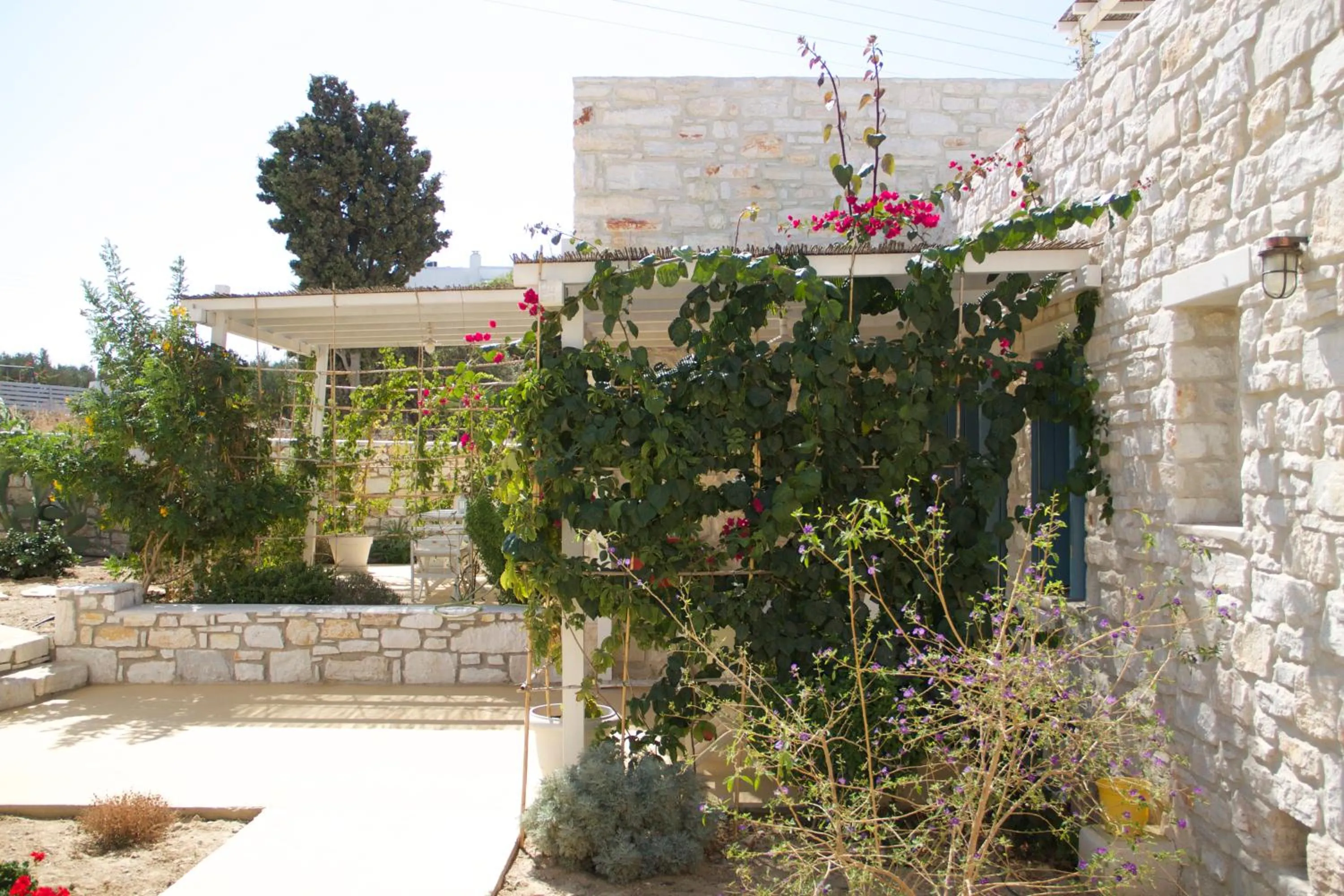 Garden view in Nomads House