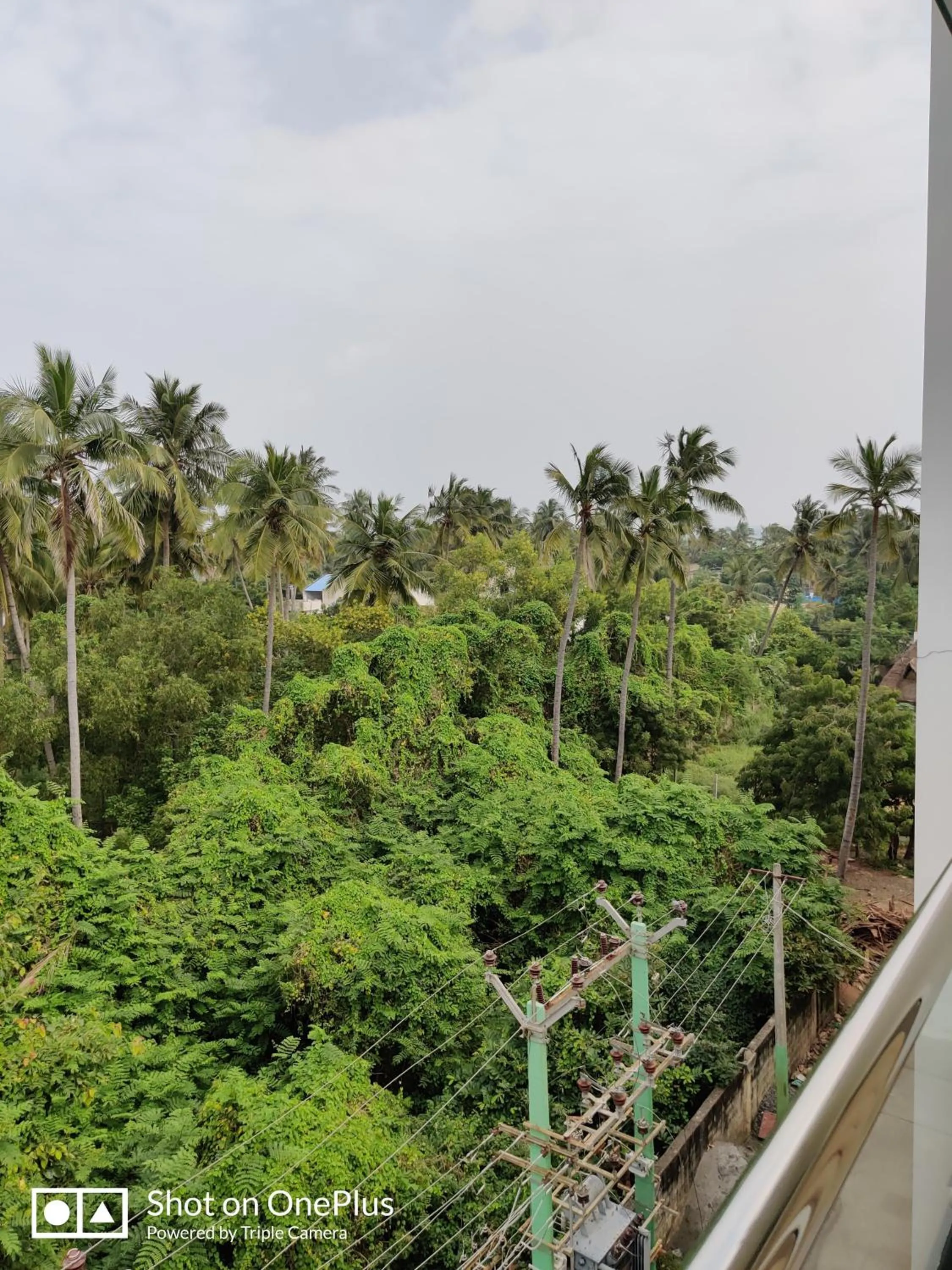 Garden view in White Pearl Residency