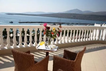 View (from property/room) in Nafsika Palace Delphi-Itea