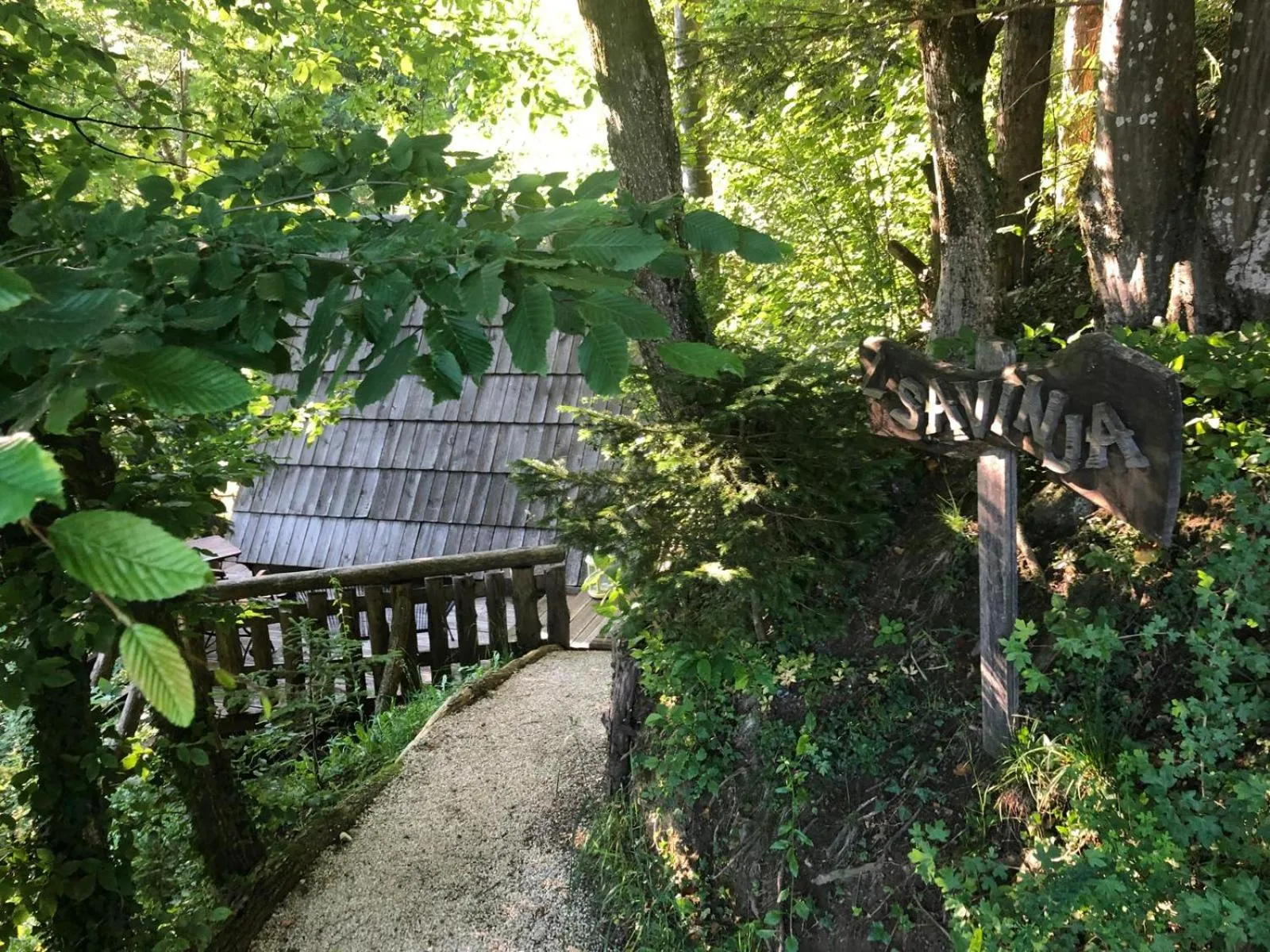 Natural landscape in Glamping Savinja