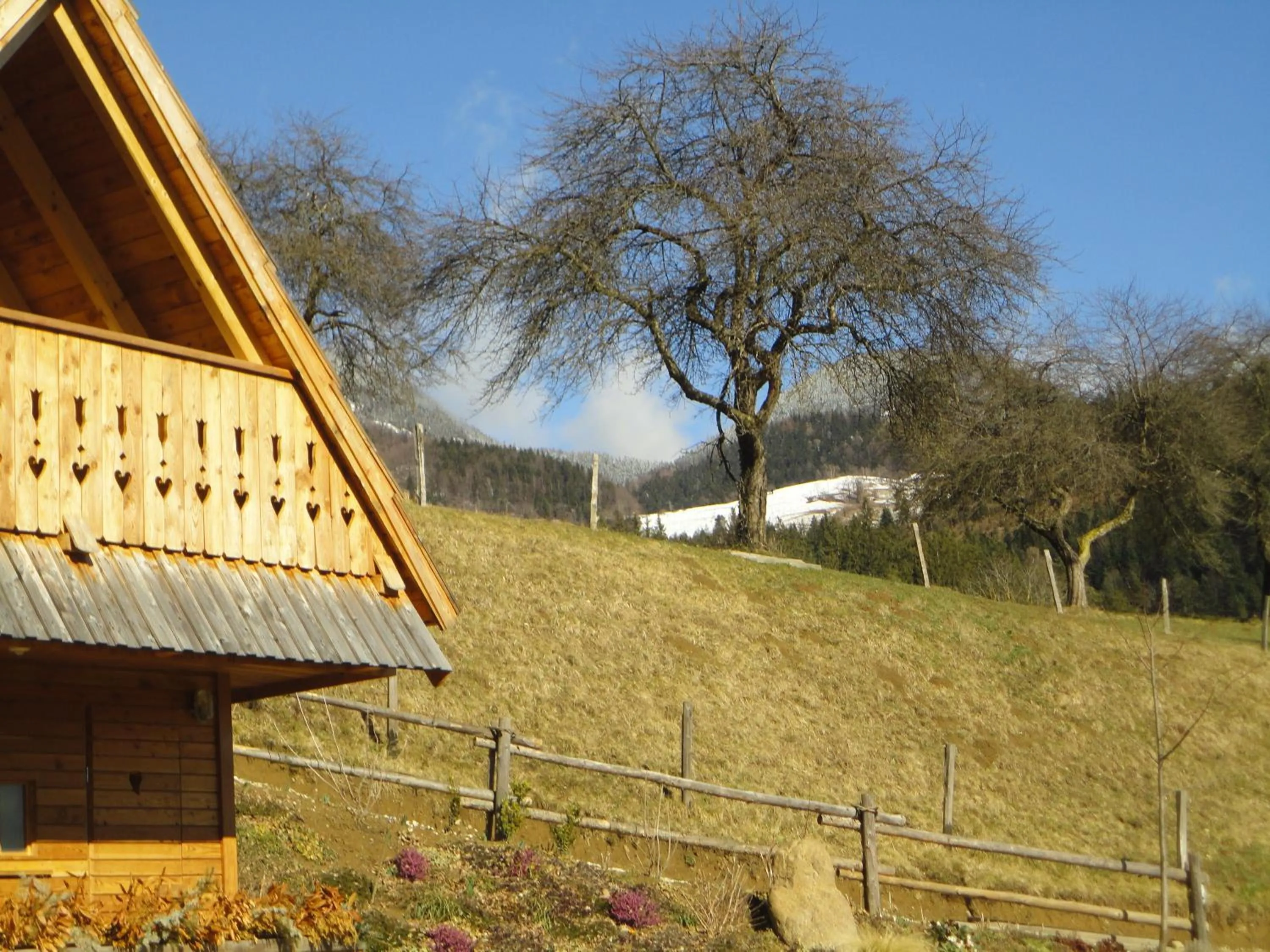 Mountain view in Glamping Savinja