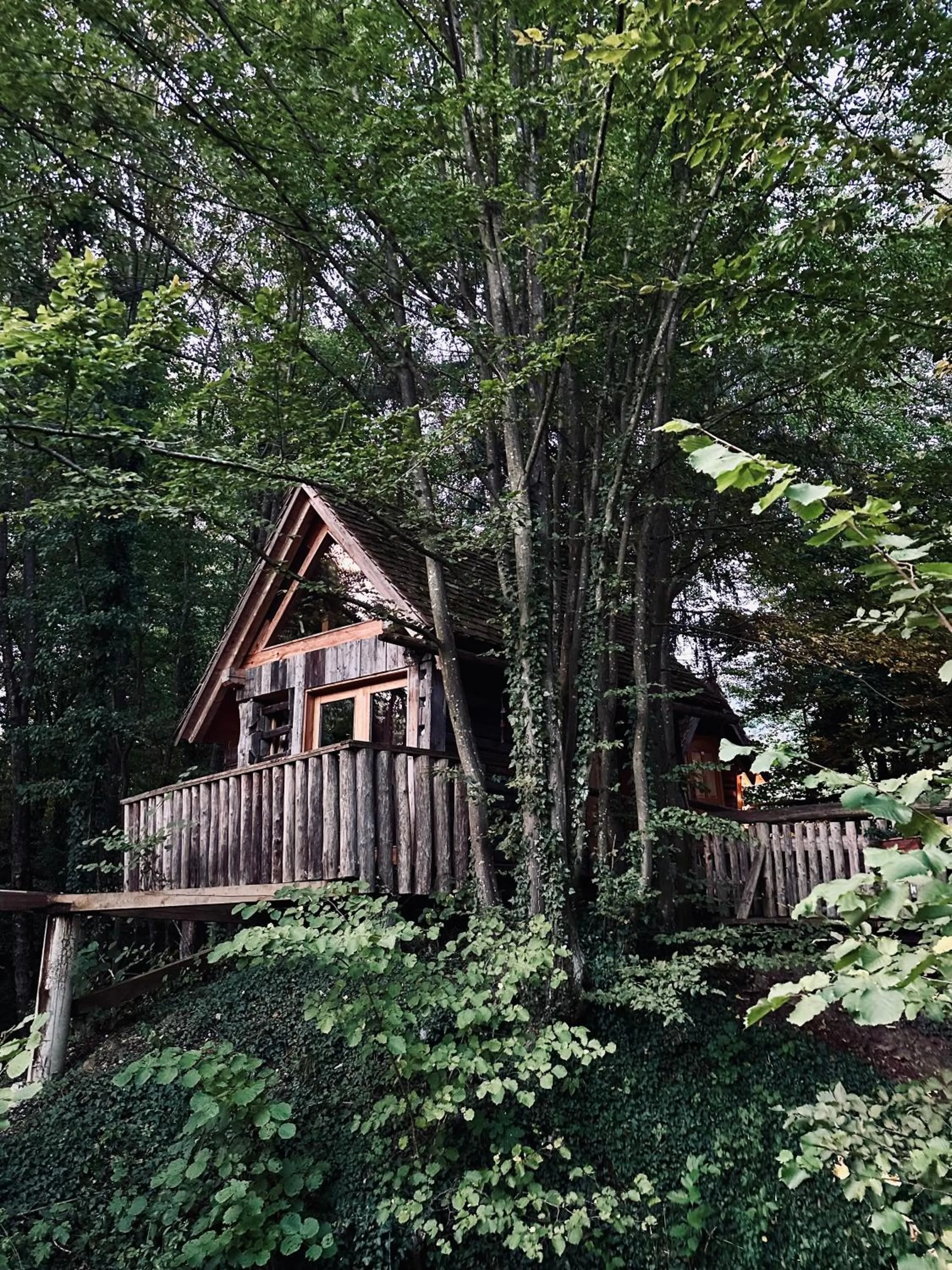 Garden view in Glamping Savinja