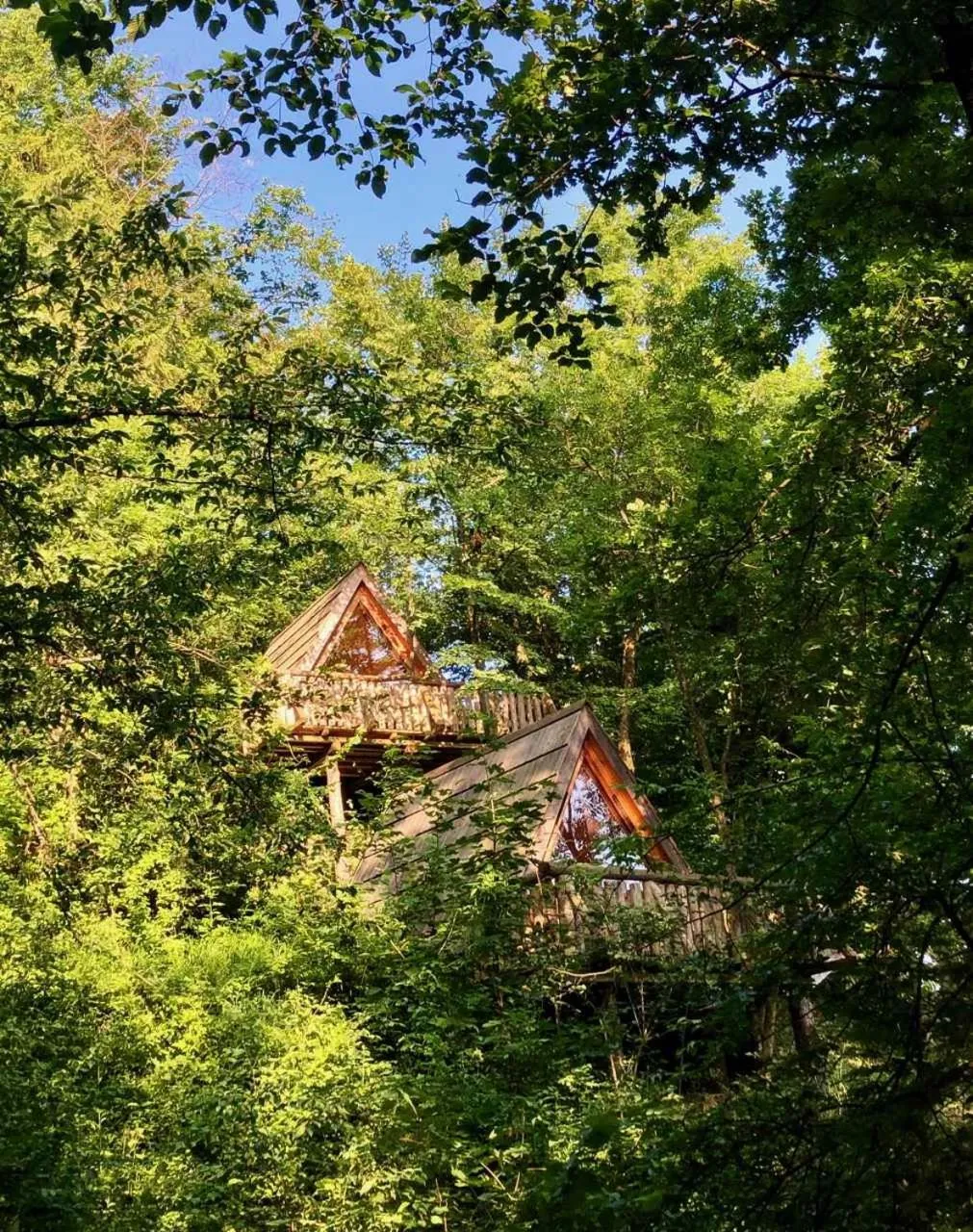 Natural landscape in Glamping Savinja
