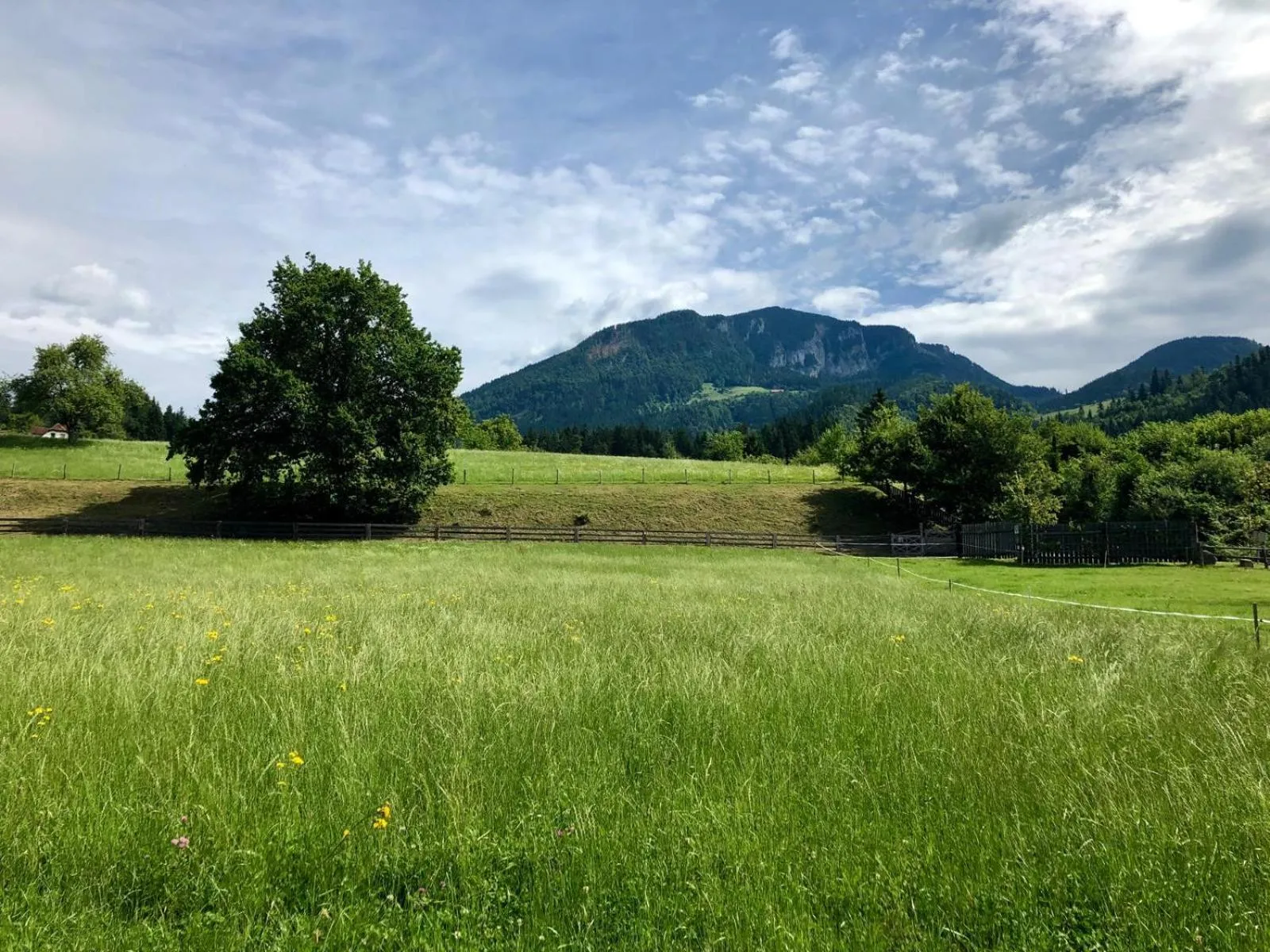 Natural landscape in Glamping Savinja