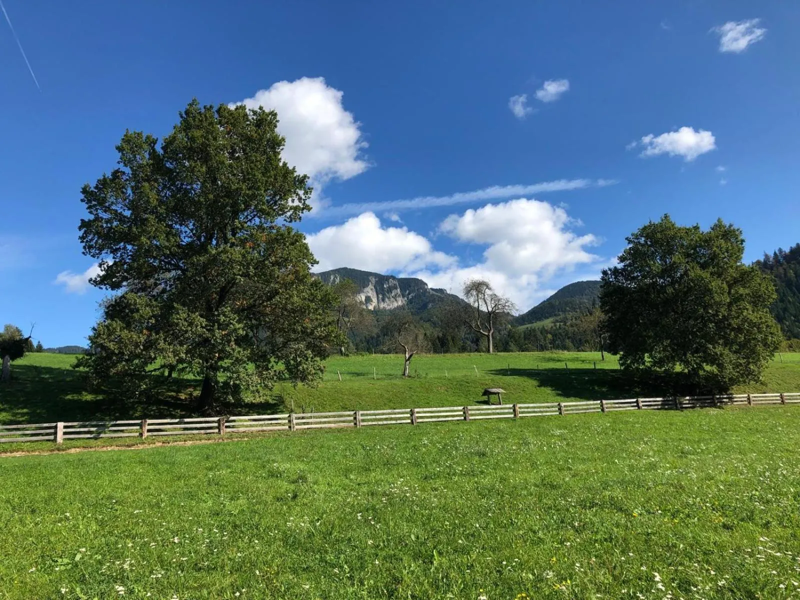 Natural landscape in Glamping Savinja