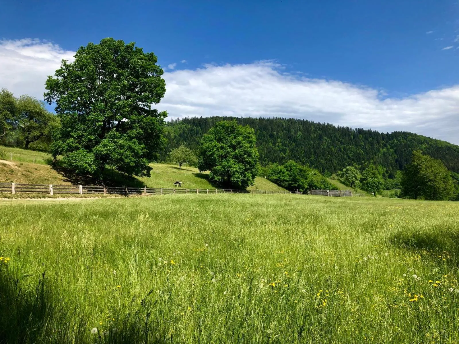 Natural landscape in Glamping Savinja