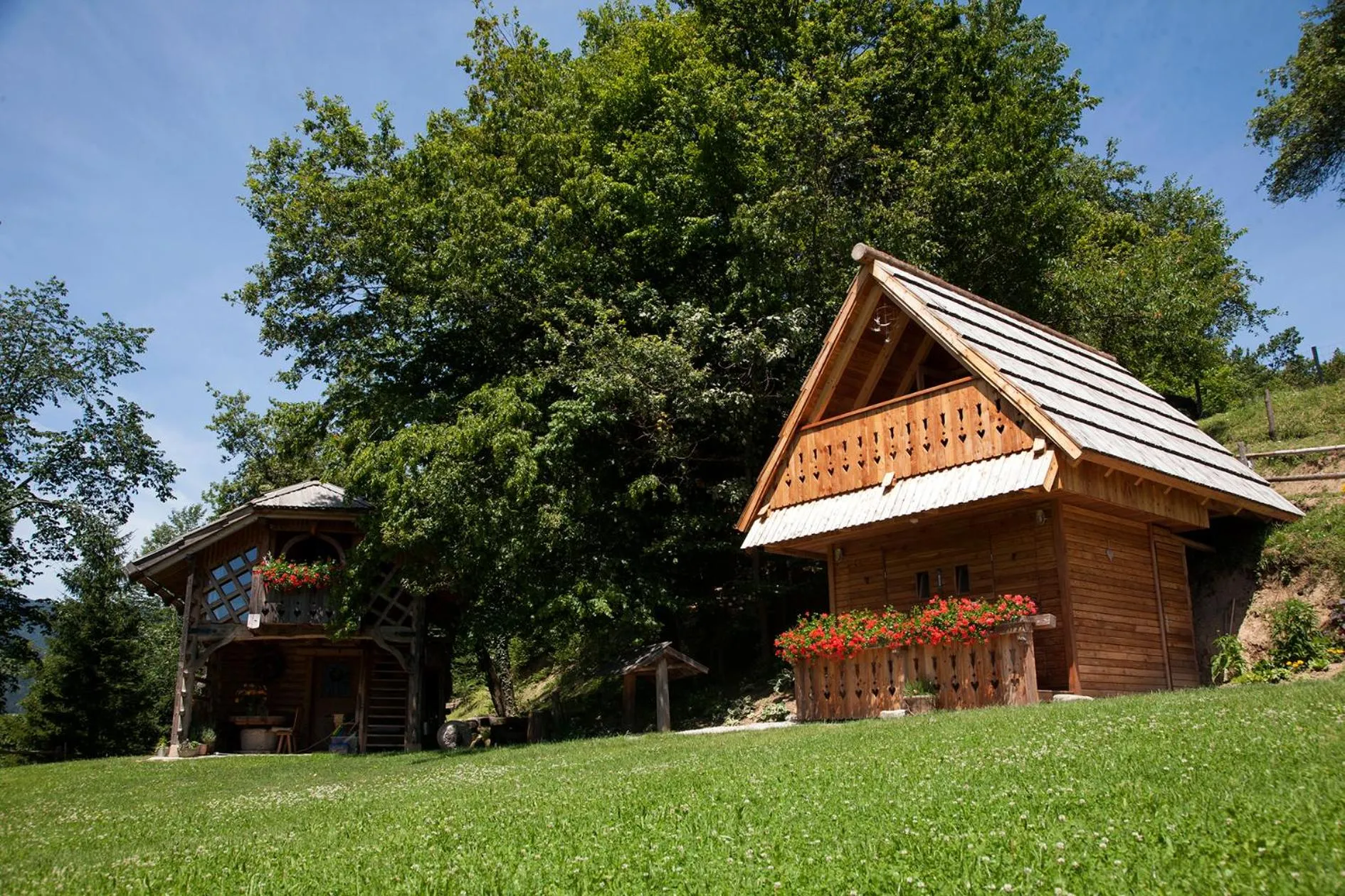 Property building in Glamping Savinja