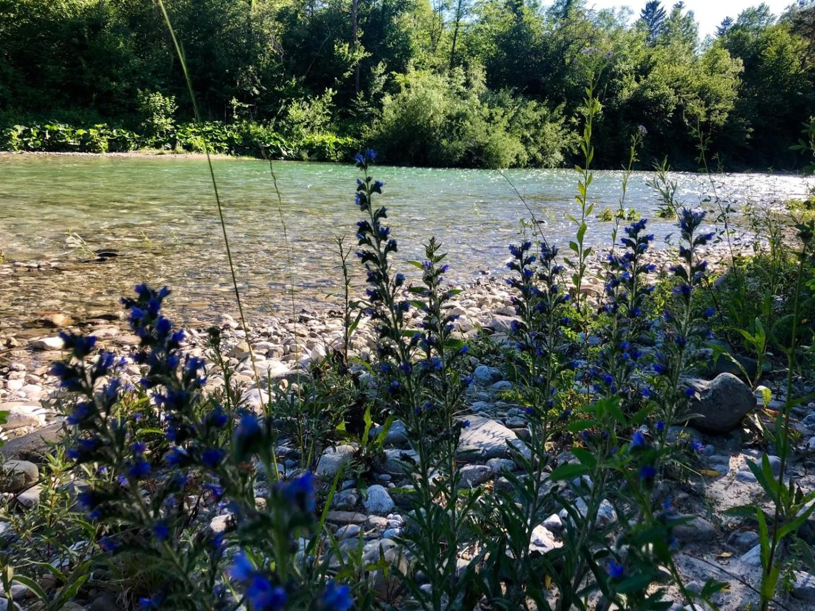River view in Glamping Savinja