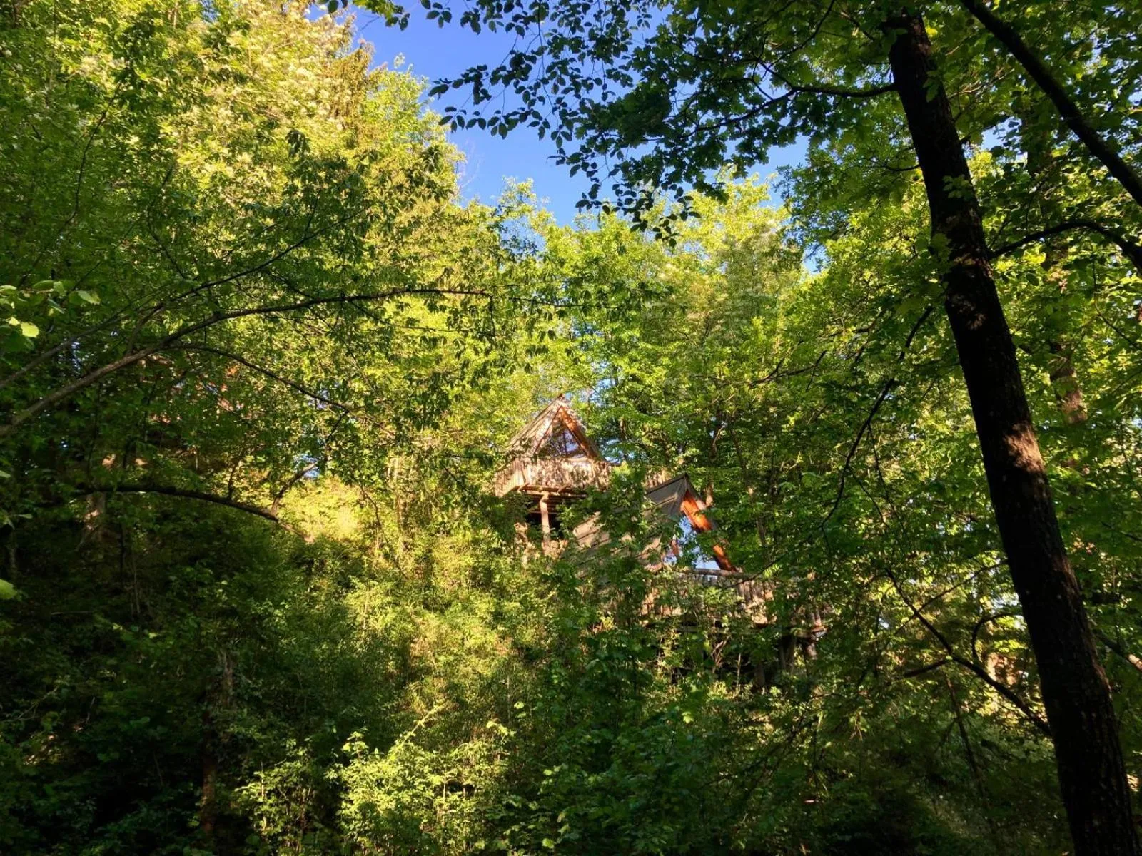 Natural landscape in Glamping Savinja