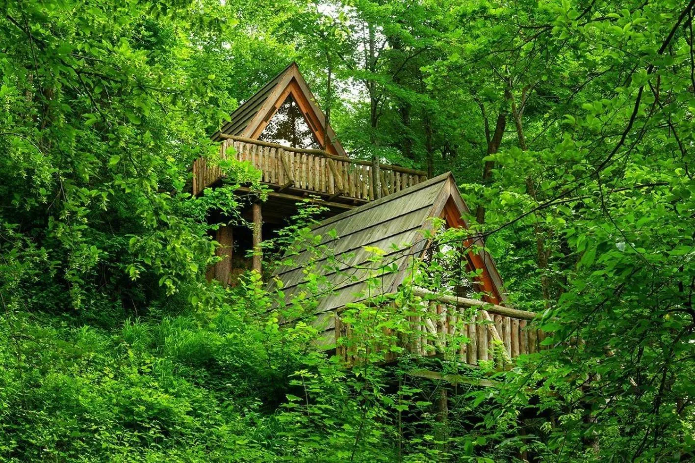 Natural landscape in Glamping Savinja