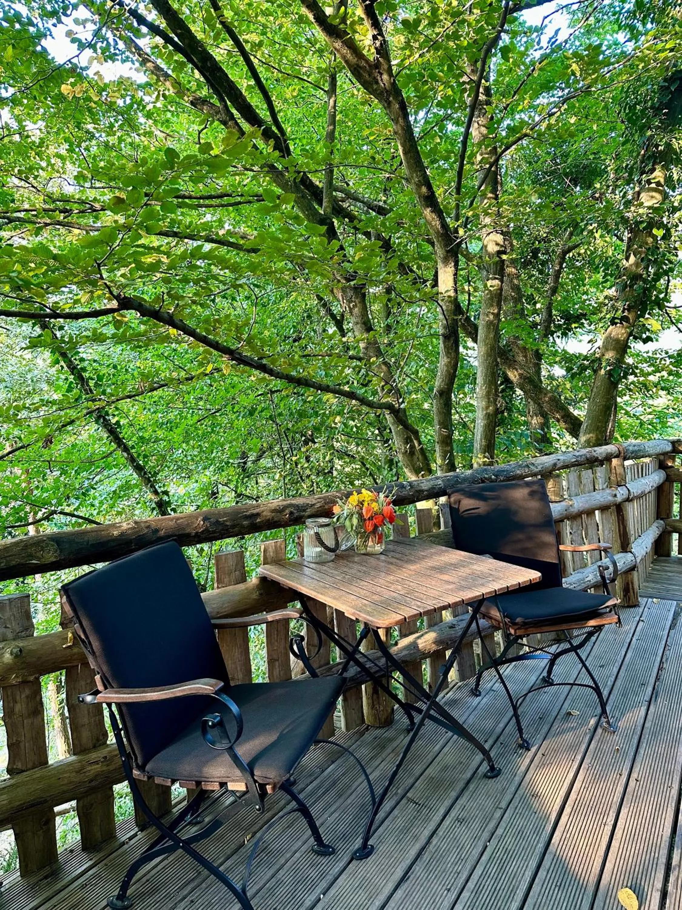 Dining area in Glamping Savinja
