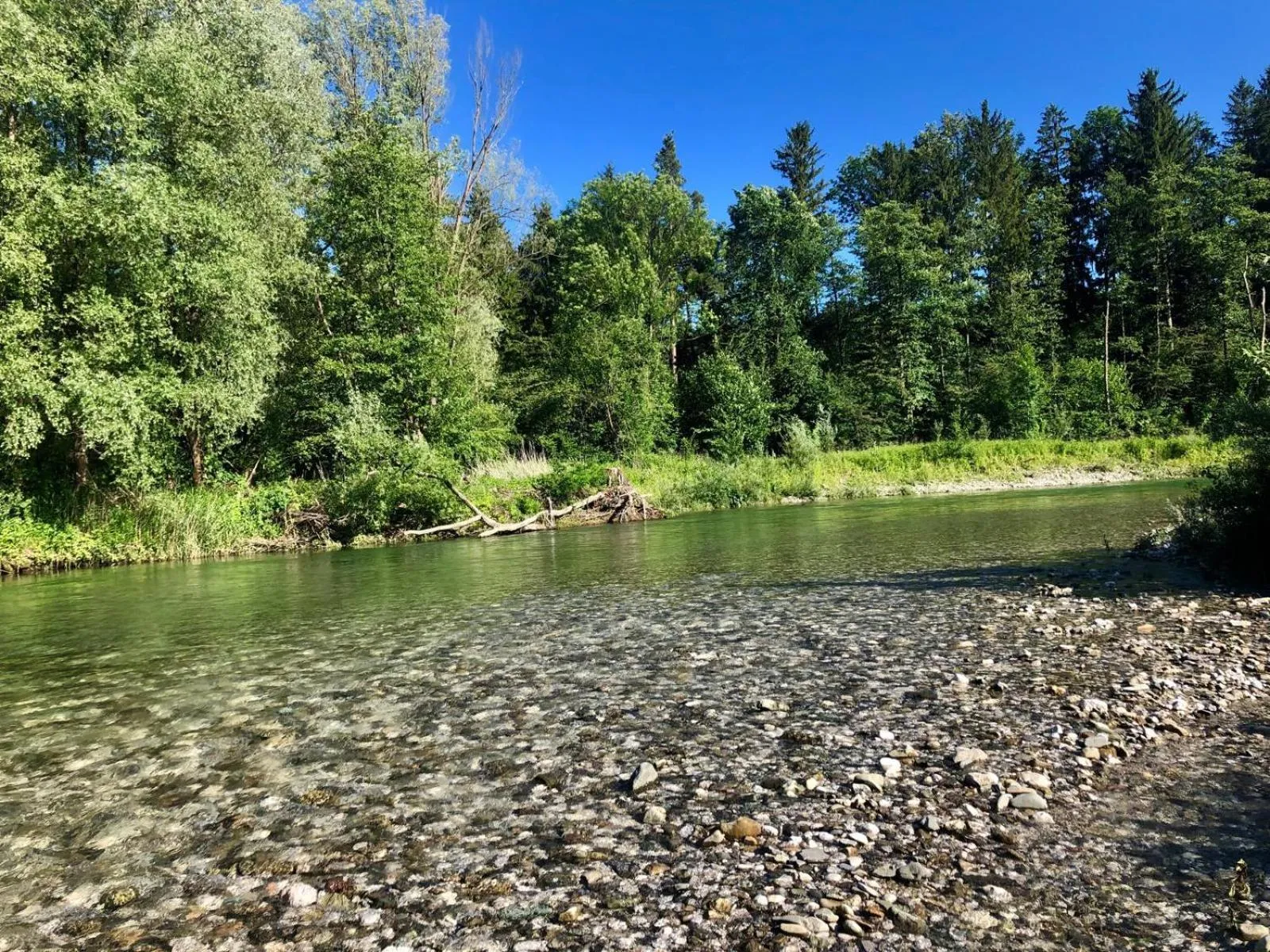 River view in Glamping Savinja