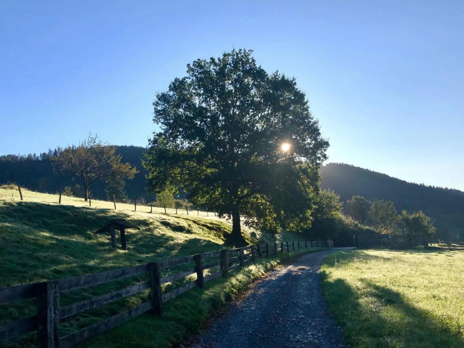 Natural landscape in Glamping Savinja