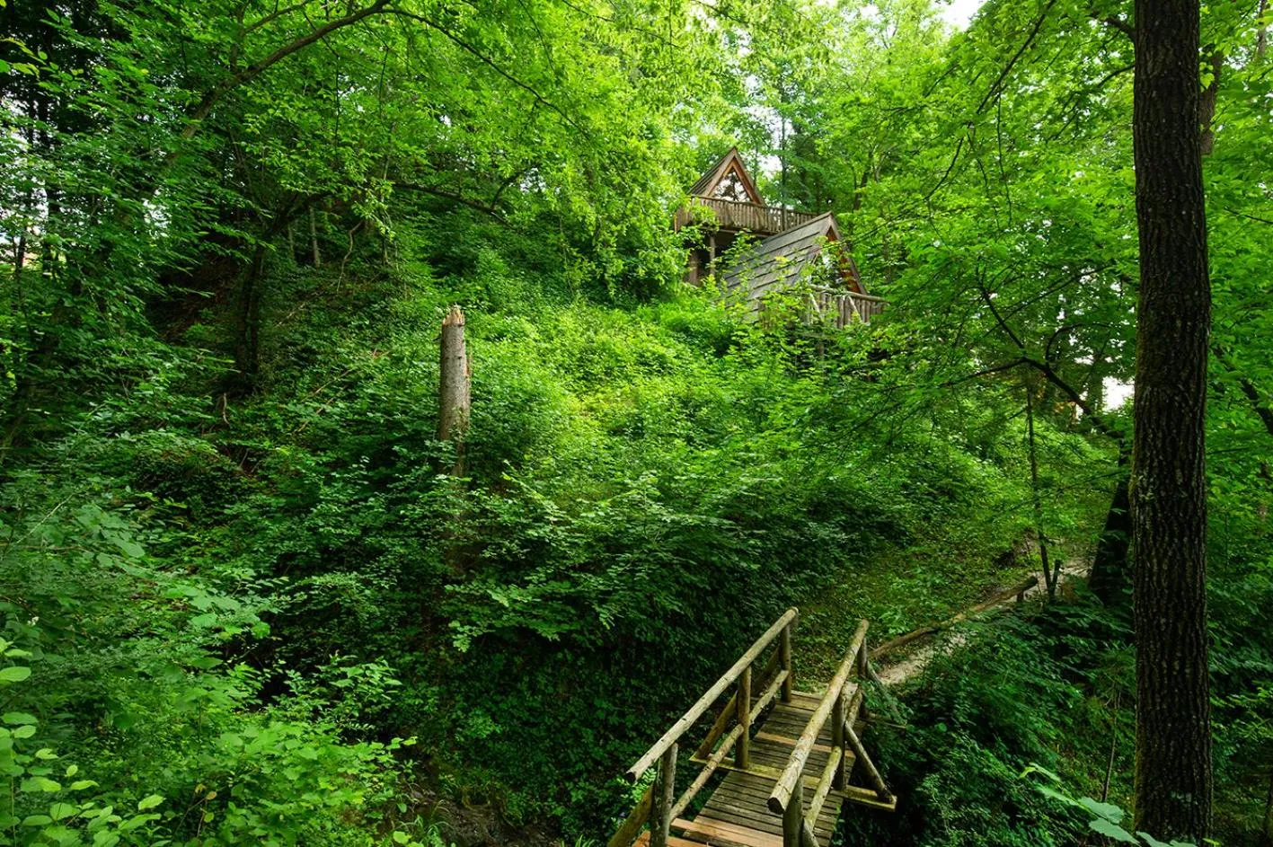 Natural landscape in Glamping Savinja