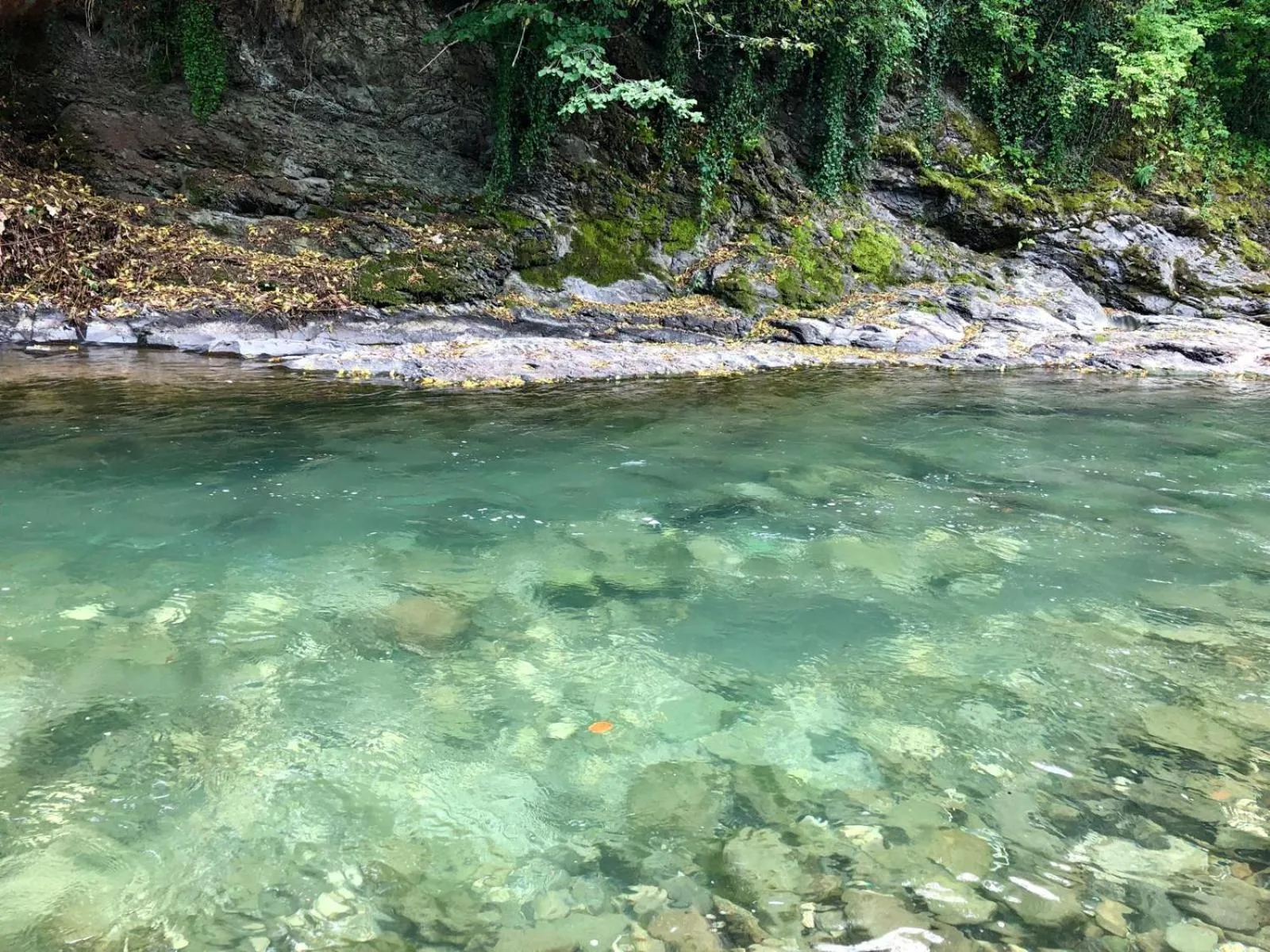 River view in Glamping Savinja