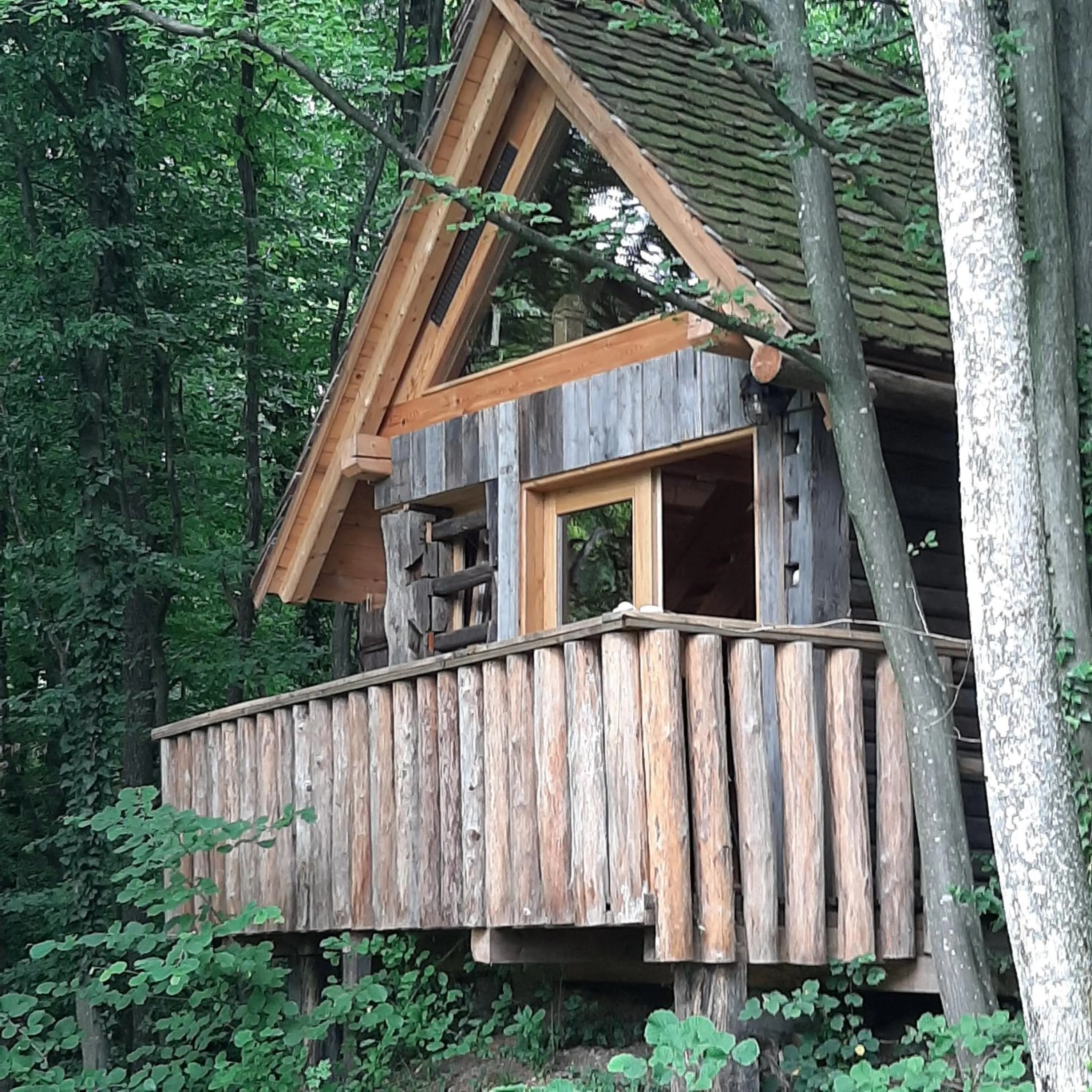 Property building in Glamping Savinja