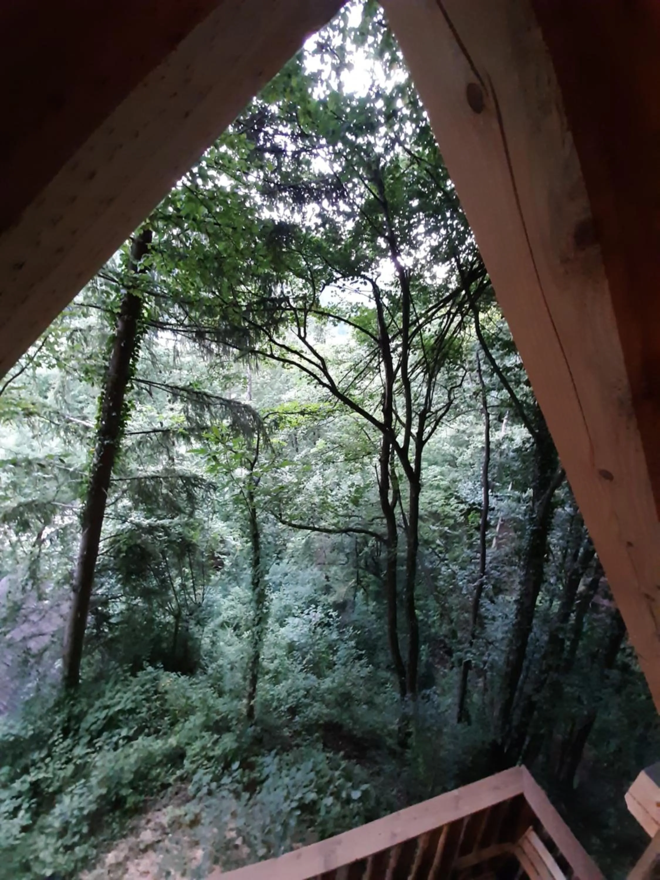Natural landscape in Glamping Savinja