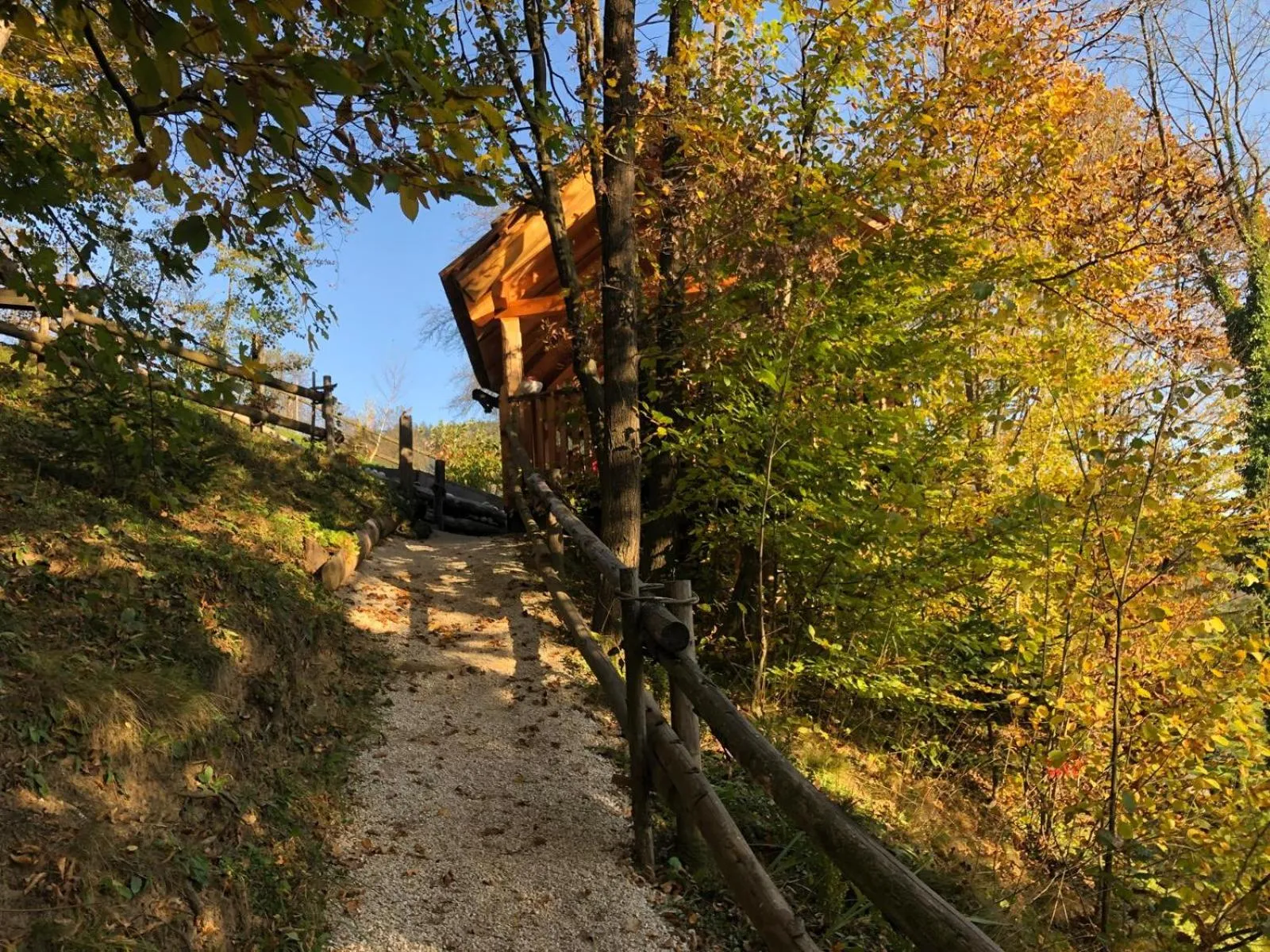 Natural landscape in Glamping Savinja