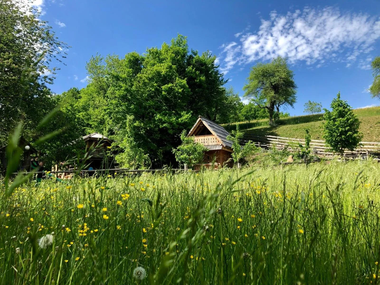Natural landscape in Glamping Savinja