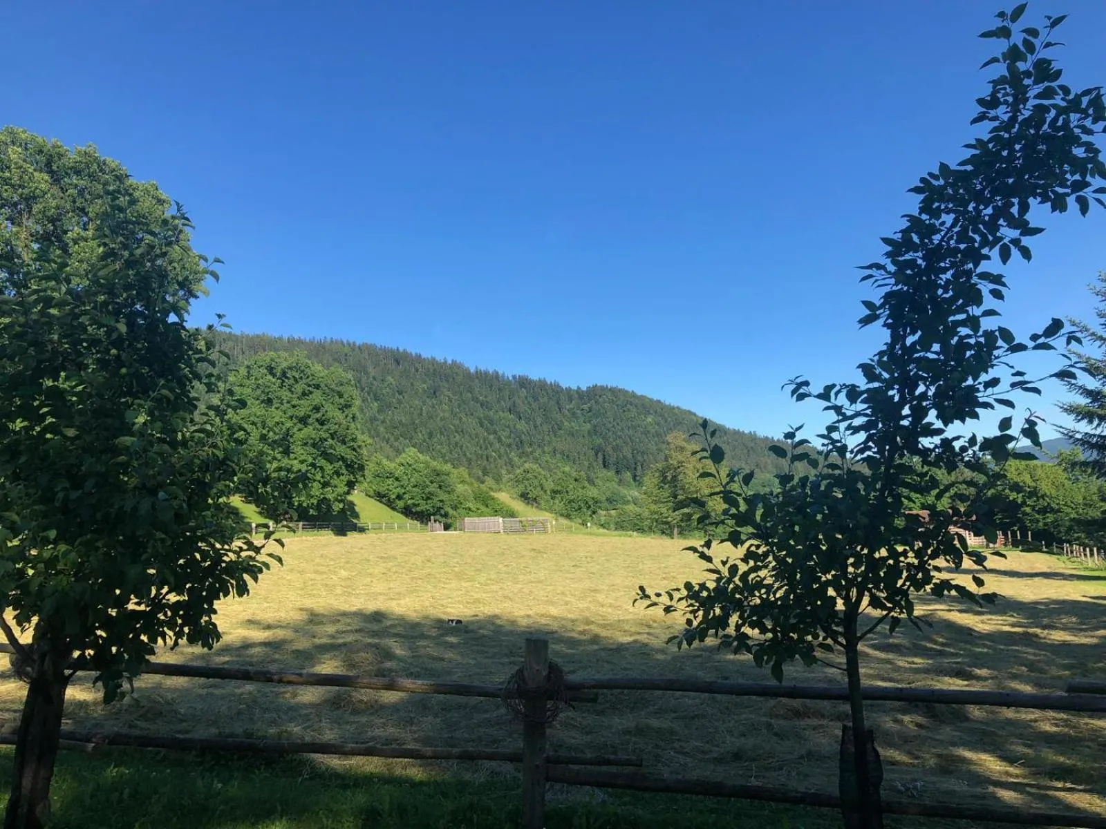 Natural landscape in Glamping Savinja