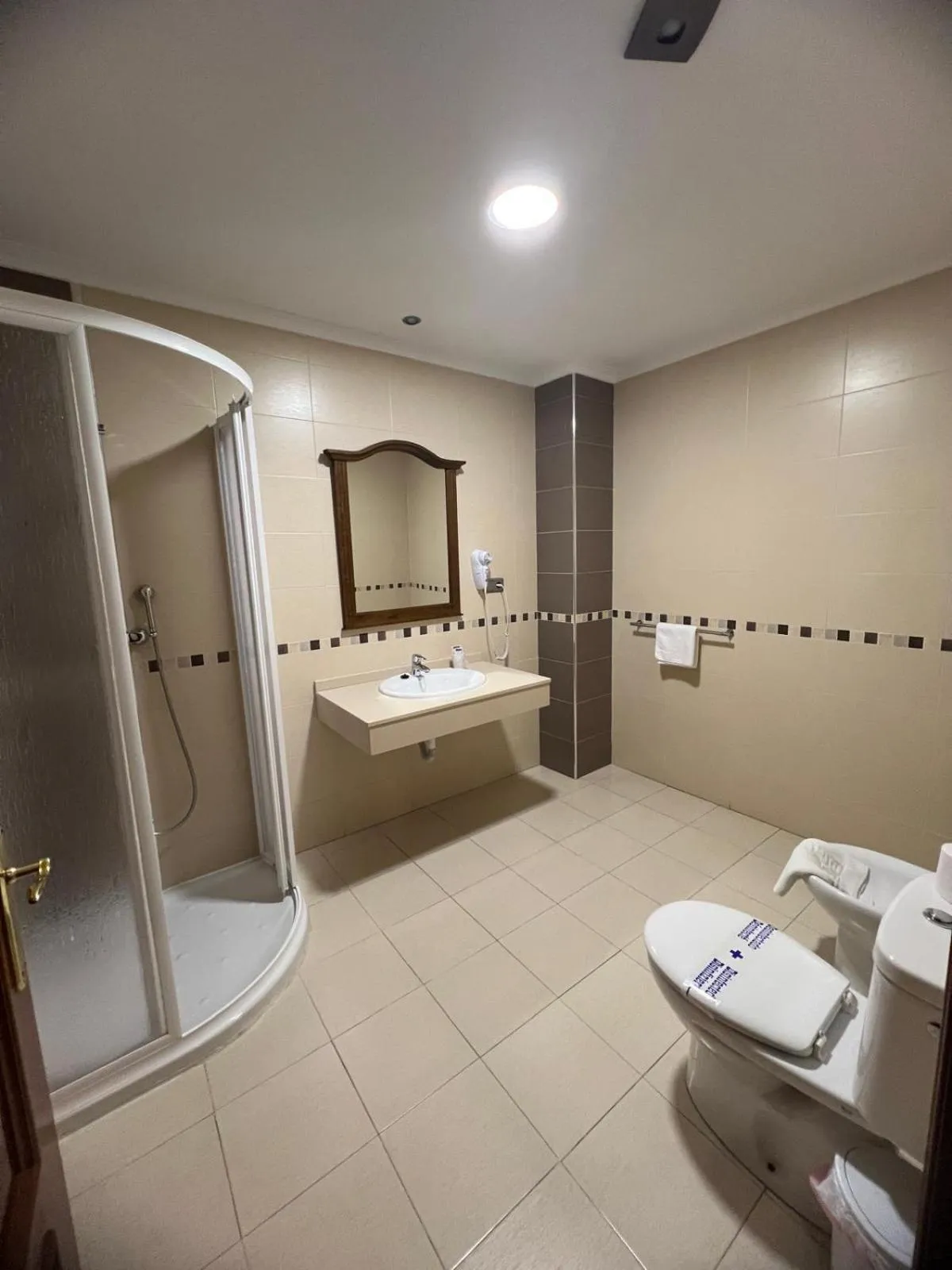 Shower in Hotel Restaurante Dama de Baza