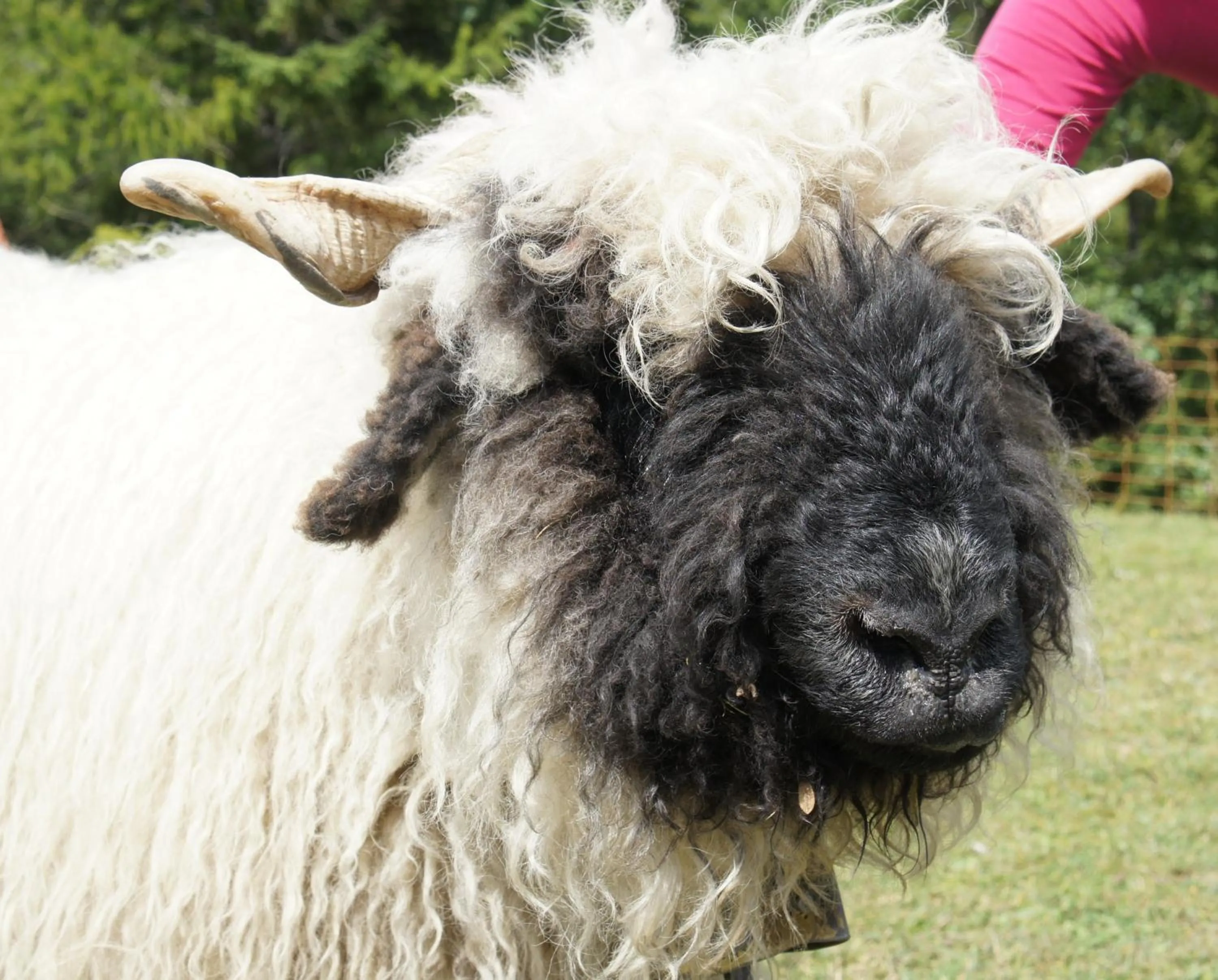 Garden in Hotel Beau-Séjour