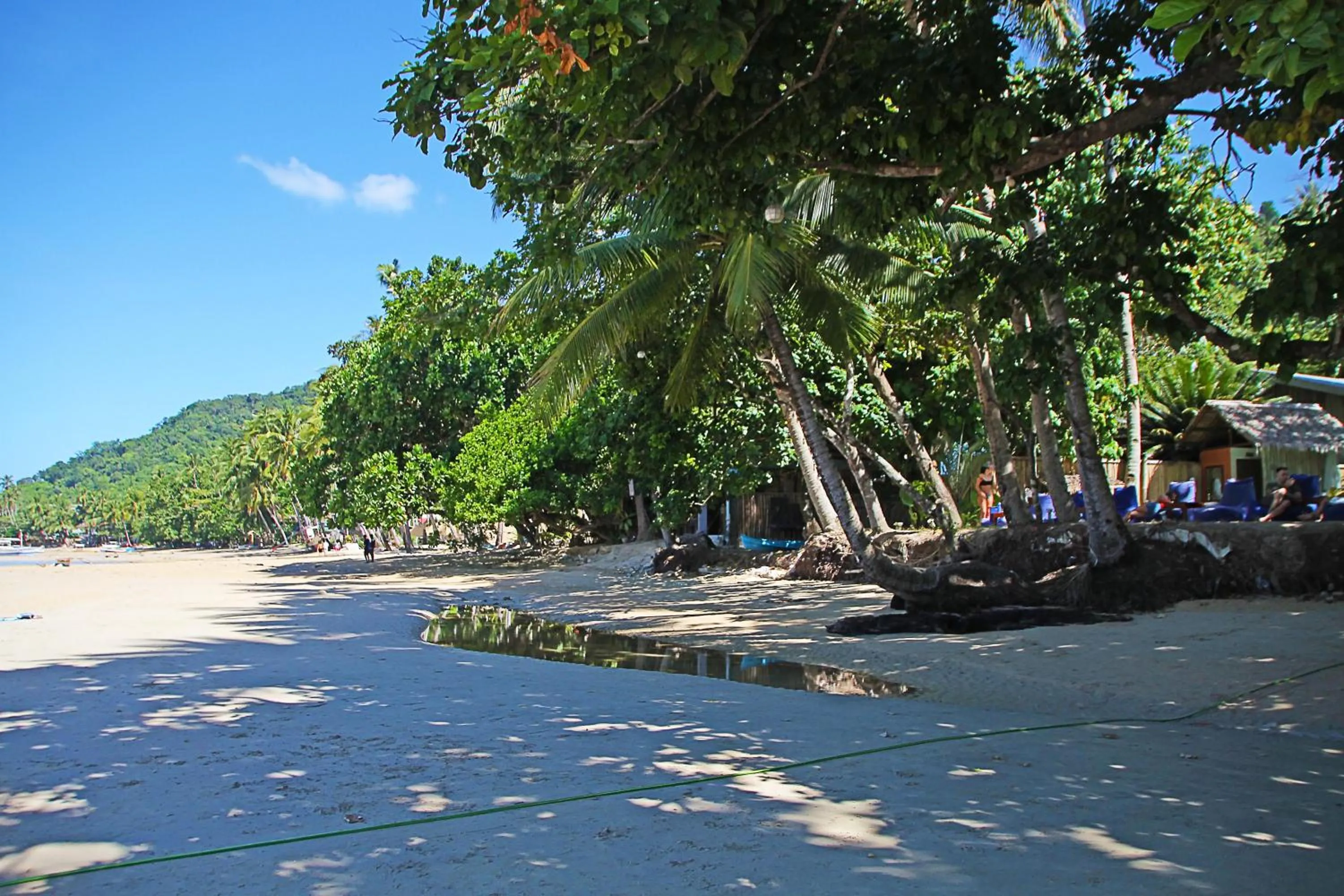 Natural landscape in Last Frontier Beach Resort - Adults Only