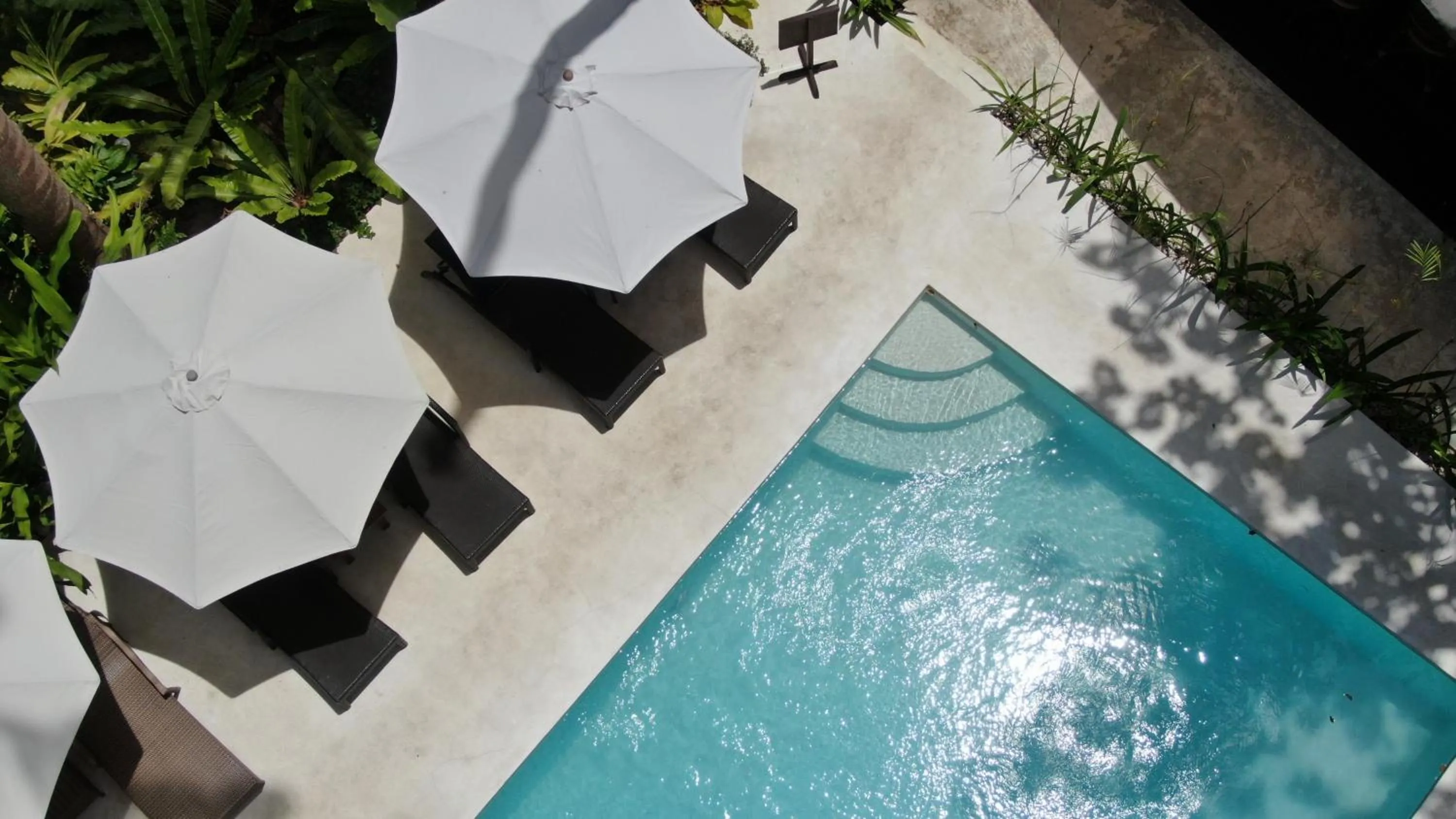 Pool view in Last Frontier Beach Resort - Adults Only