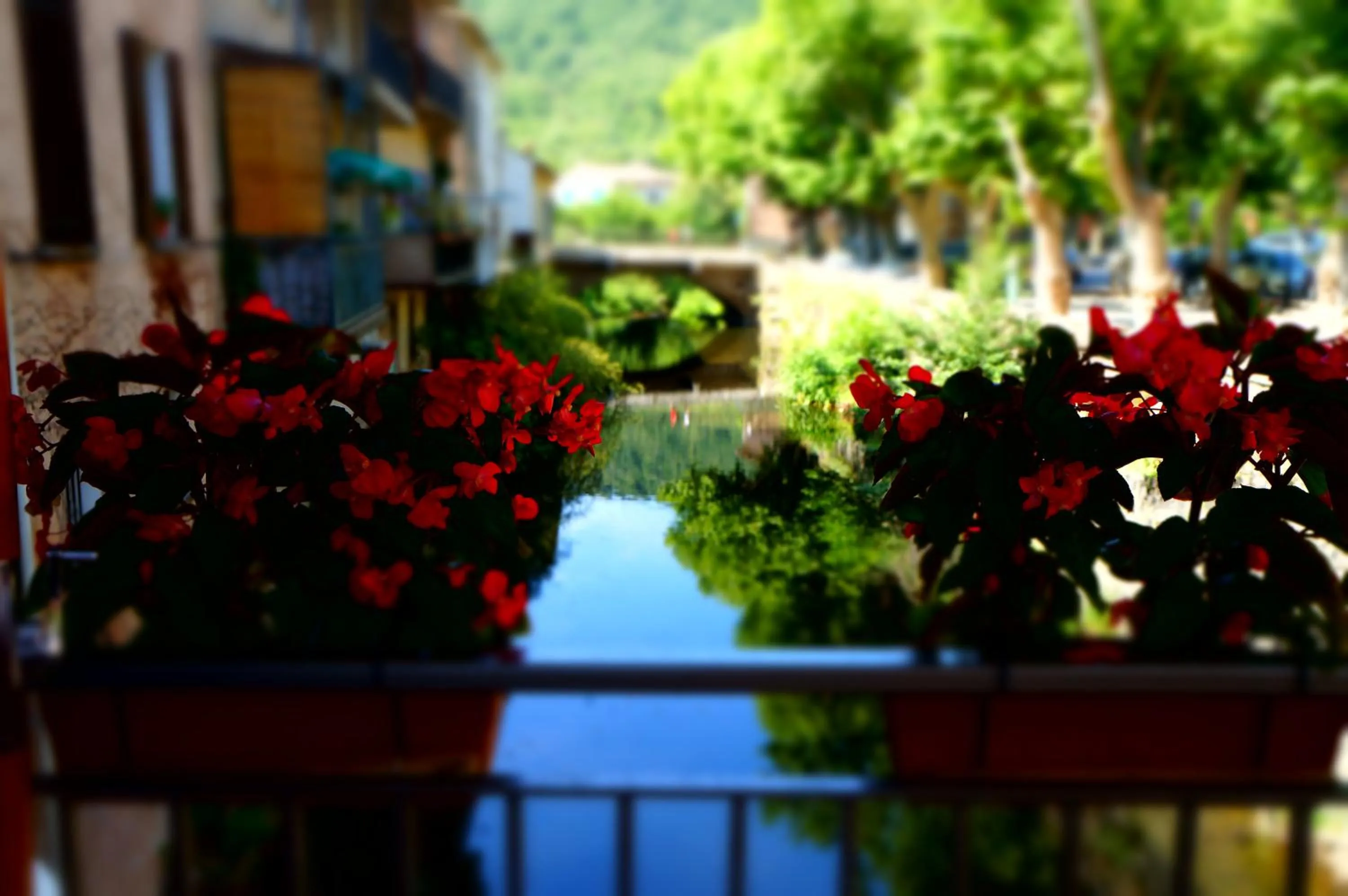 River view in Hotel Restaurant des Maures