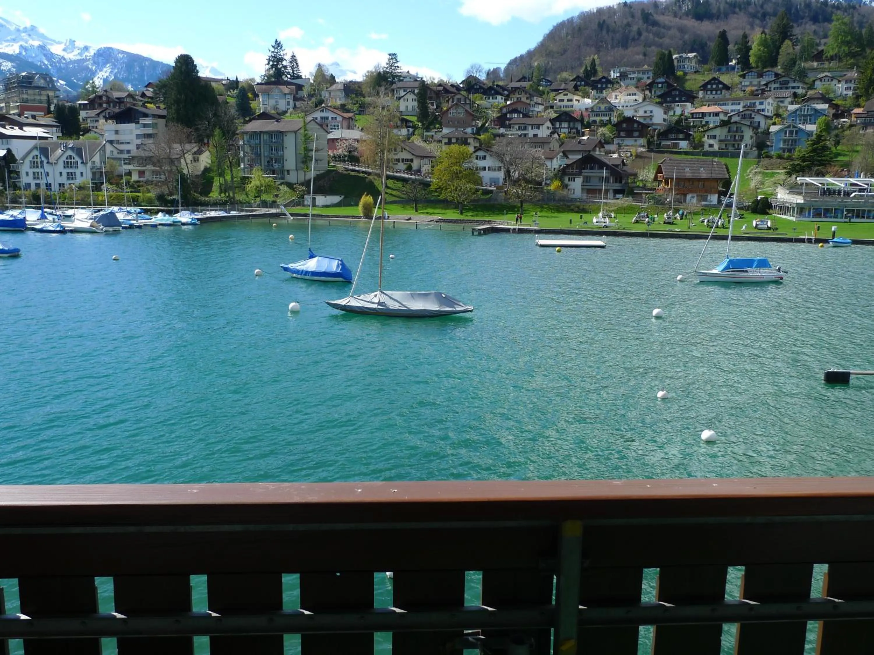Lake view in Hotel-Restaurant Seegarten-Marina