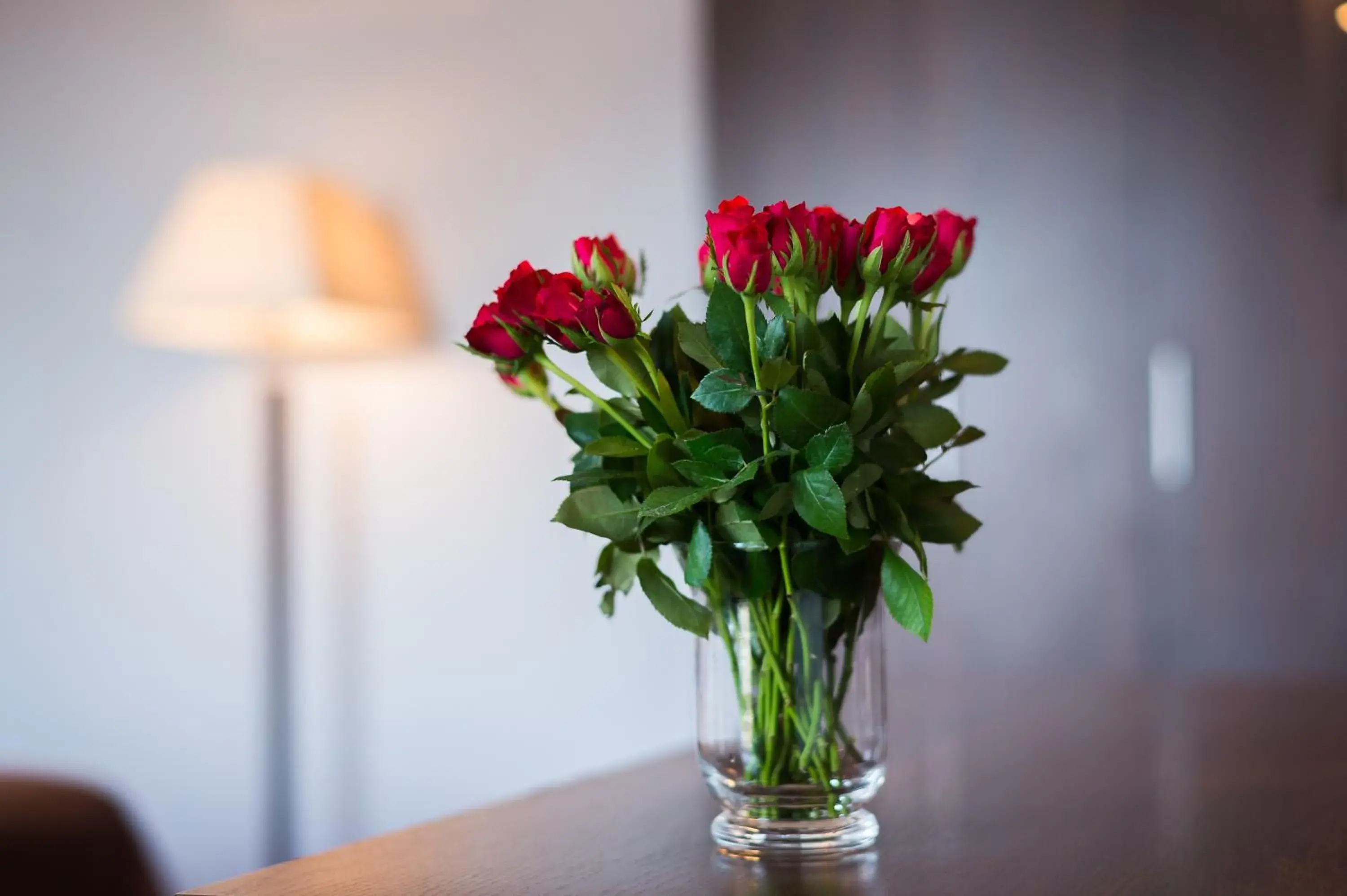 Deluxe Twin Room in Jasek Premium Hotel Wrocław Deluxe Twin Room in Jasek Premium Hotel Wrocław