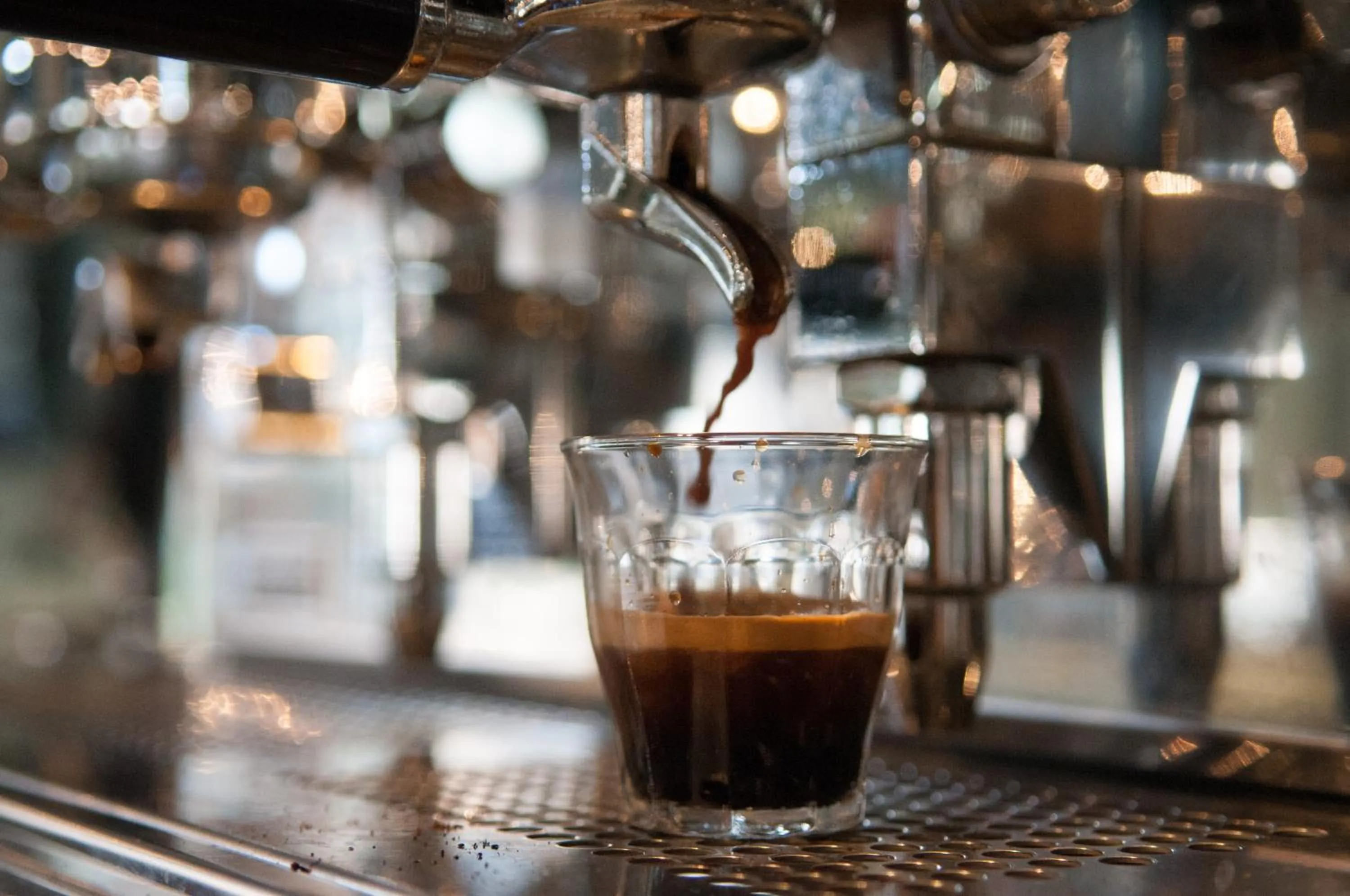 Lounge or bar in Guesthouse Vertoef