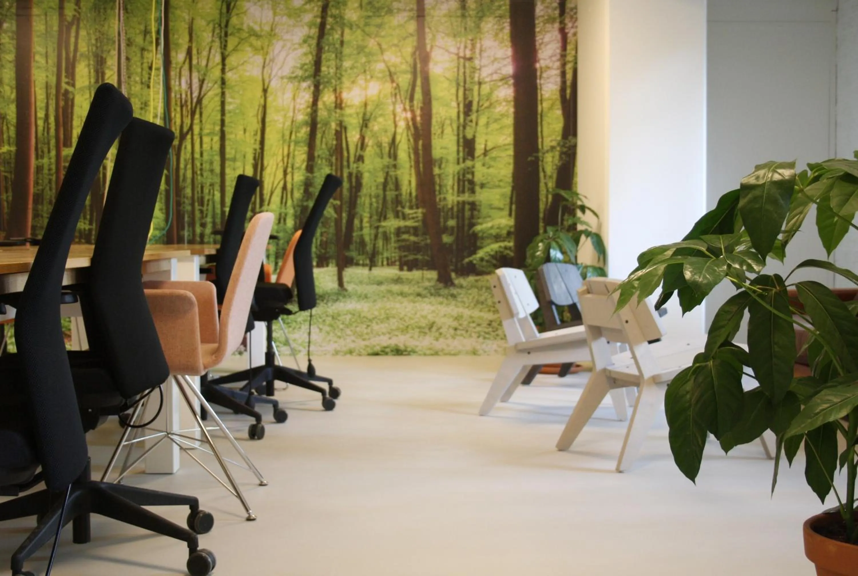 Business facilities in Guesthouse Vertoef