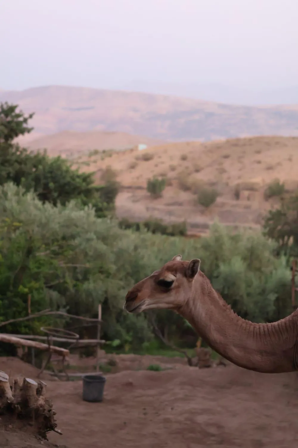 Les terrasses du Lac Marrakech