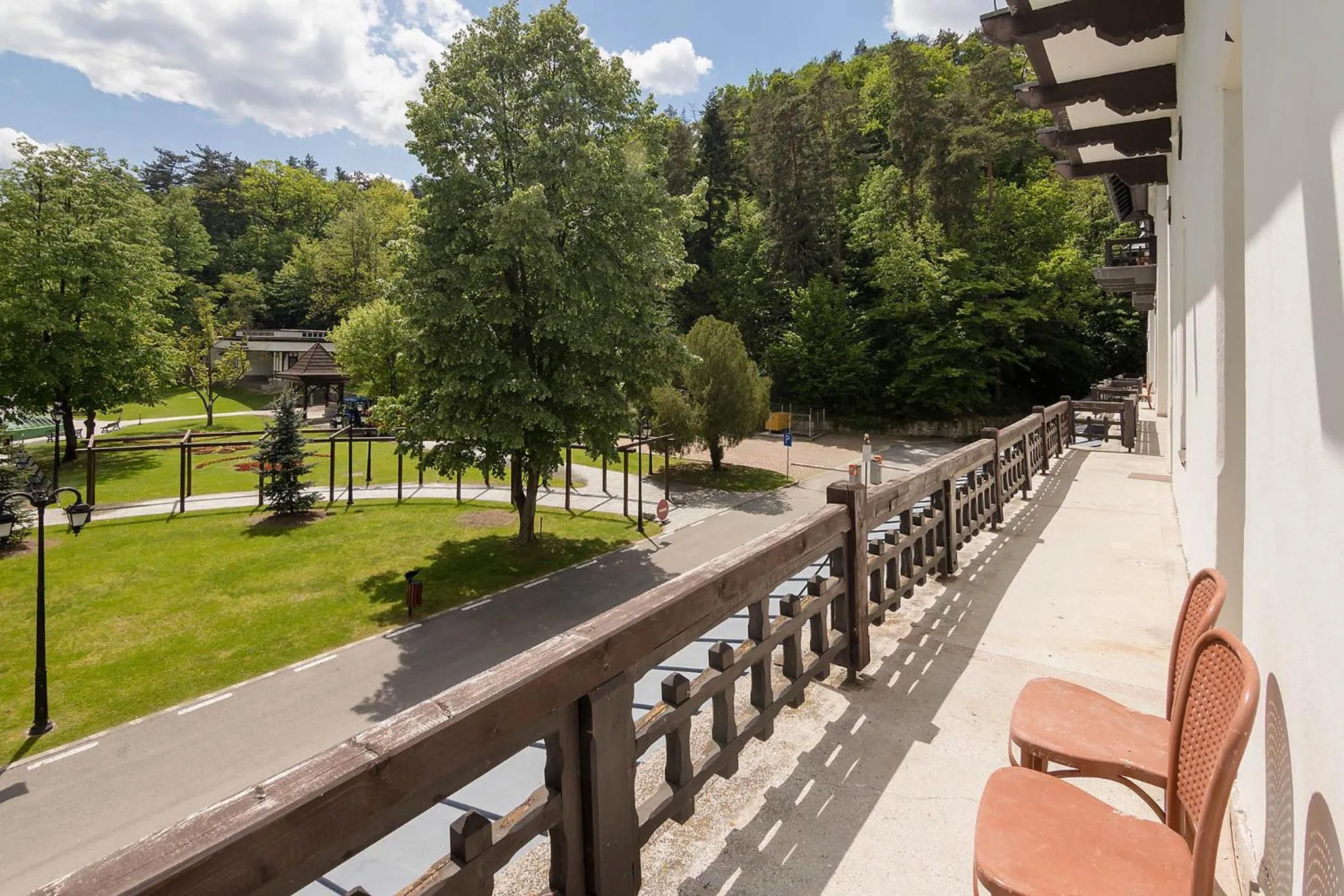 Natural landscape in Hotel Central